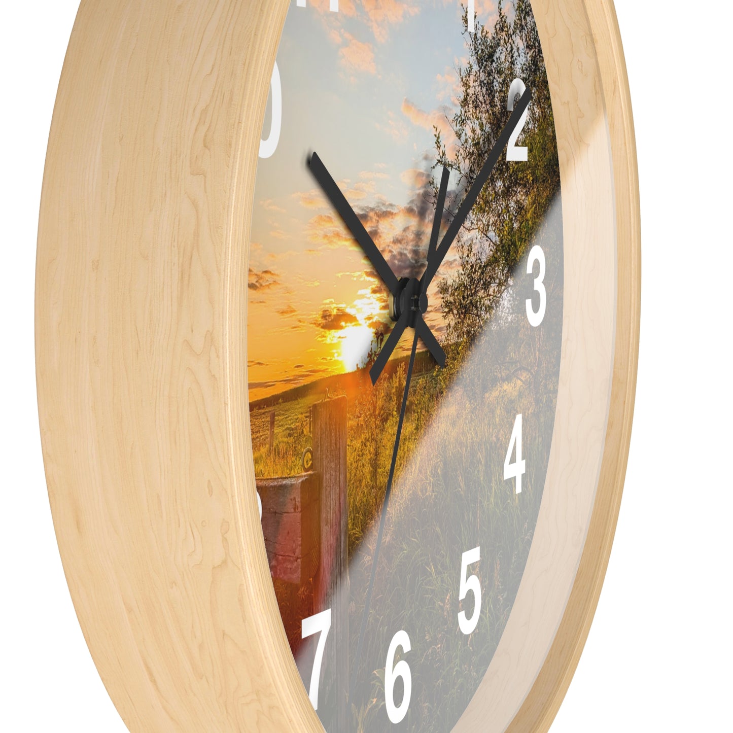 Fence Clock (SP Photography Collection)