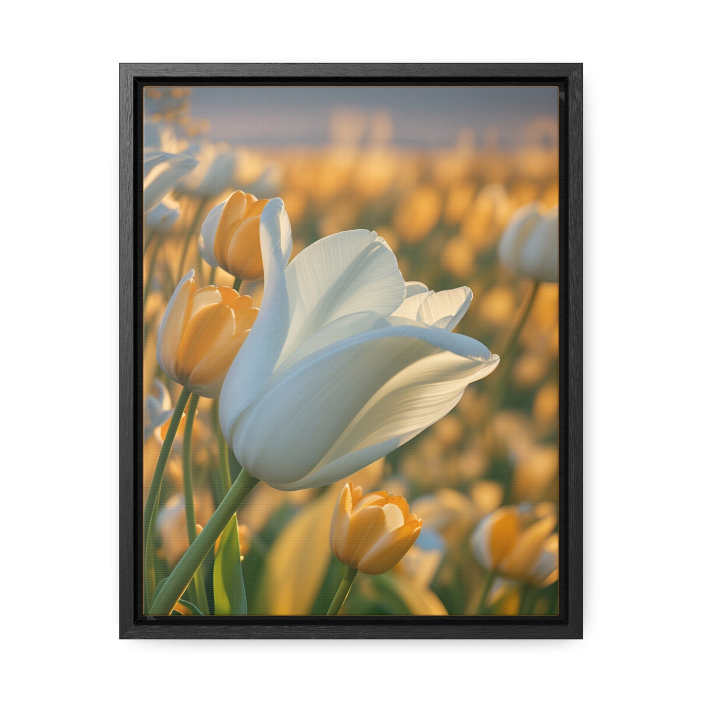 White Flower Tulip Canvas Wraps, Vertical Frame (SP Photography Collection)