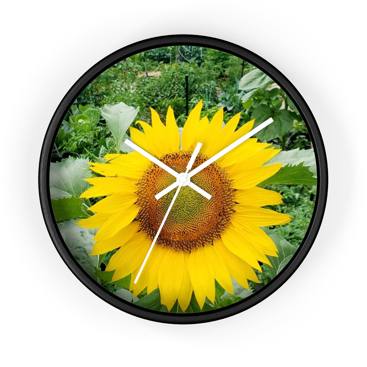 Yellow Sunflower Wall Clock (Enchanted Exposures By Tammy Lyne)