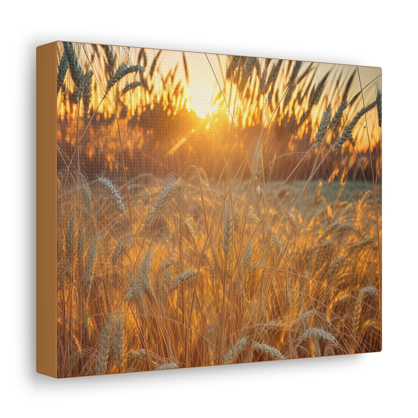 Golden Wheat Canvas Gallery Wraps(SP Photography Collection)