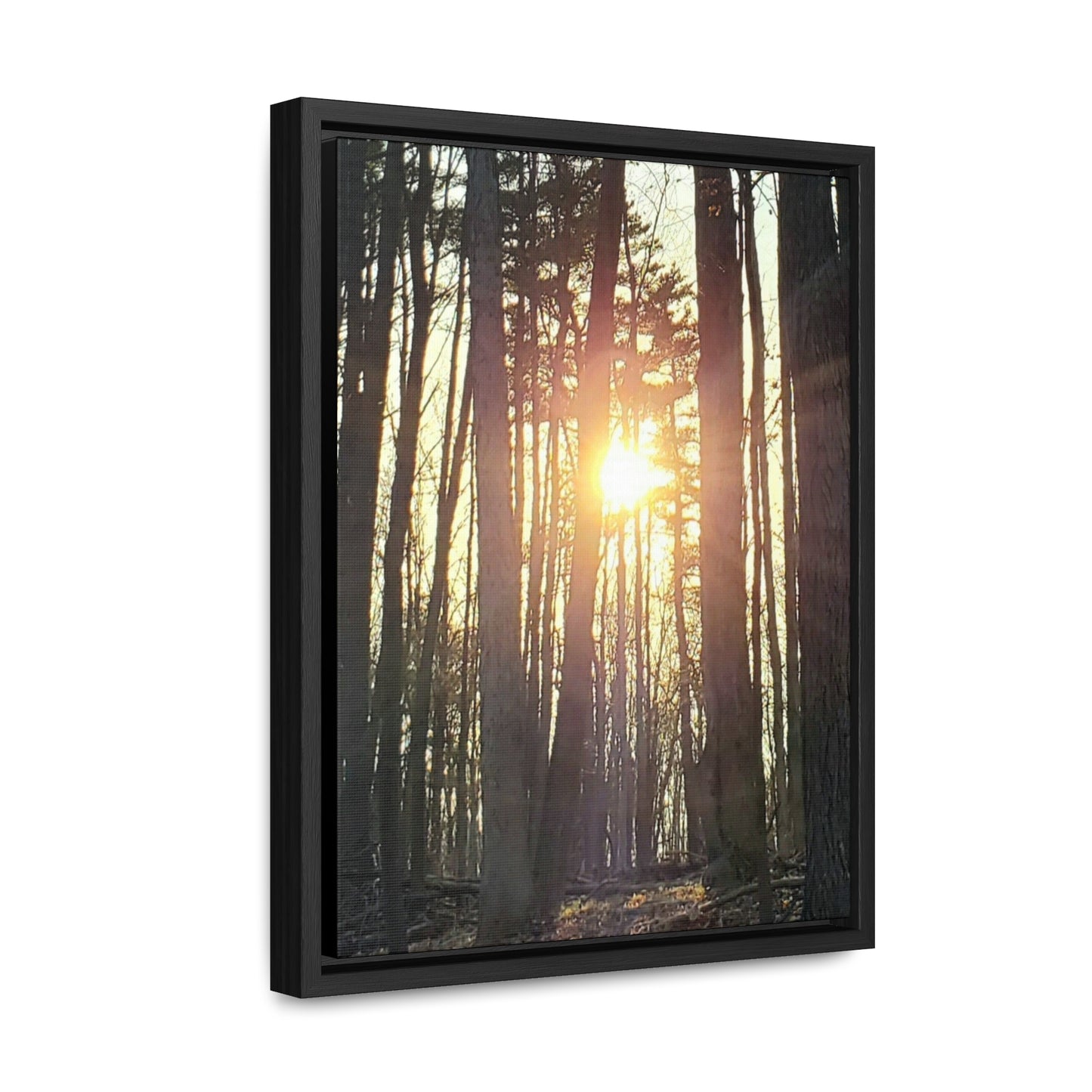 Into the trees Canvas Wraps, Vertical Frame (Enchanted Exposures By Tammy Lyne) BLACK