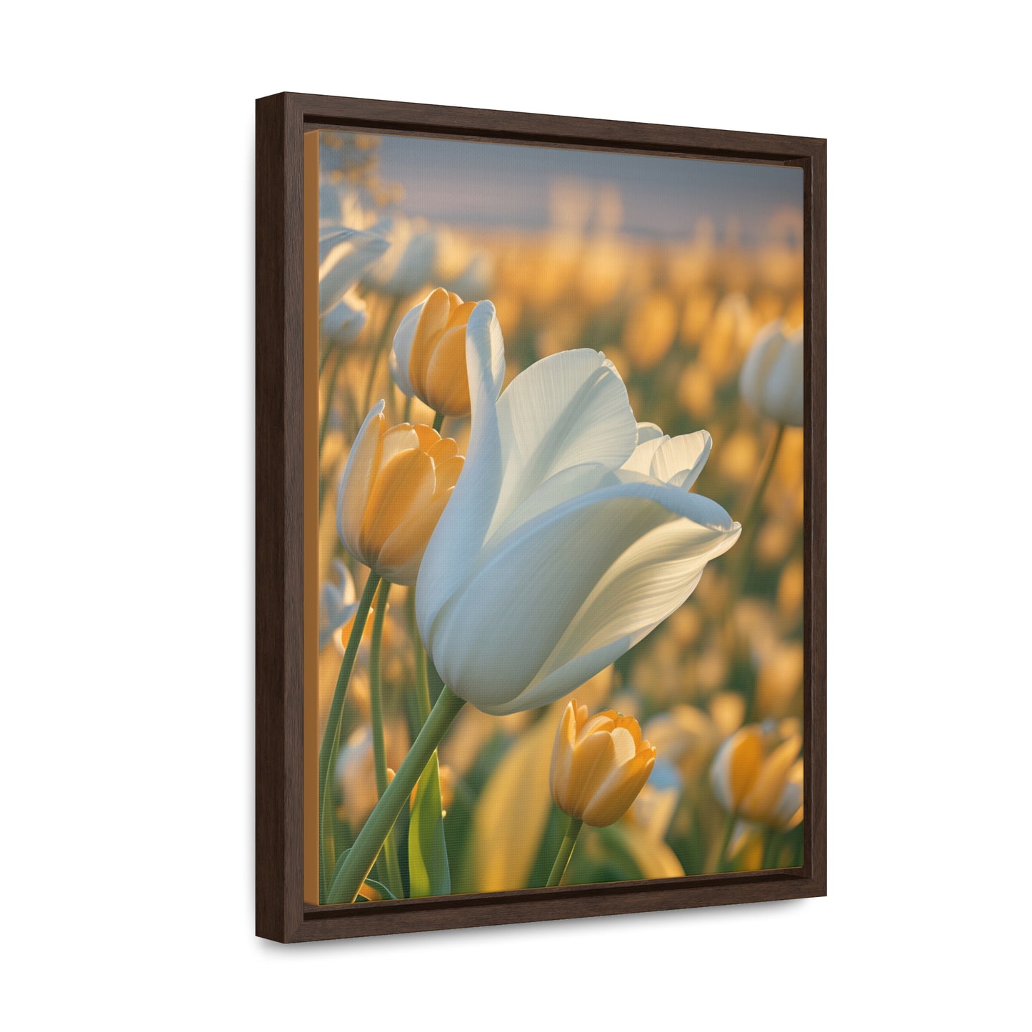 White Flower Tulip Canvas Wraps, Vertical Frame (SP Photography Collection)