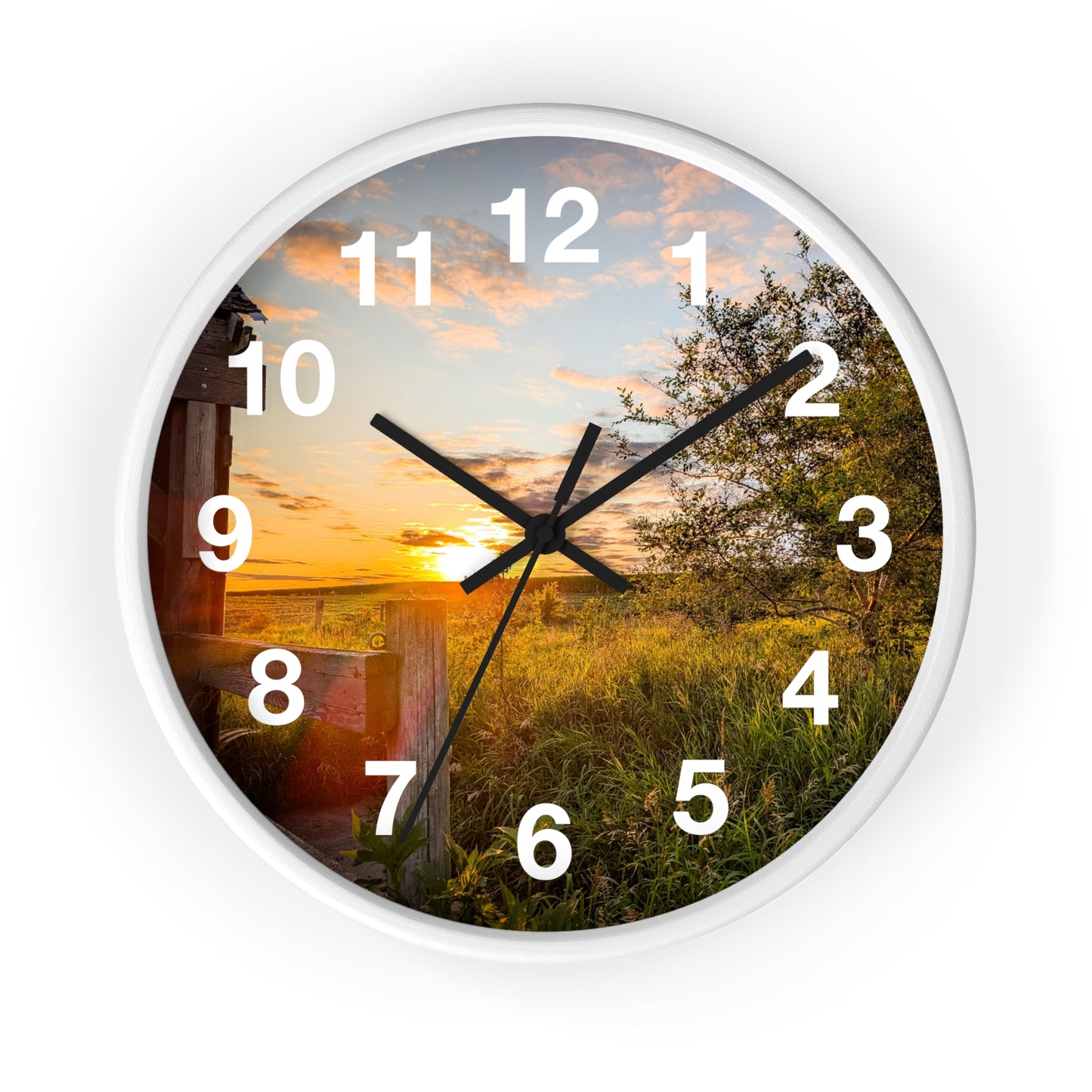 Fence Clock (SP Photography Collection)