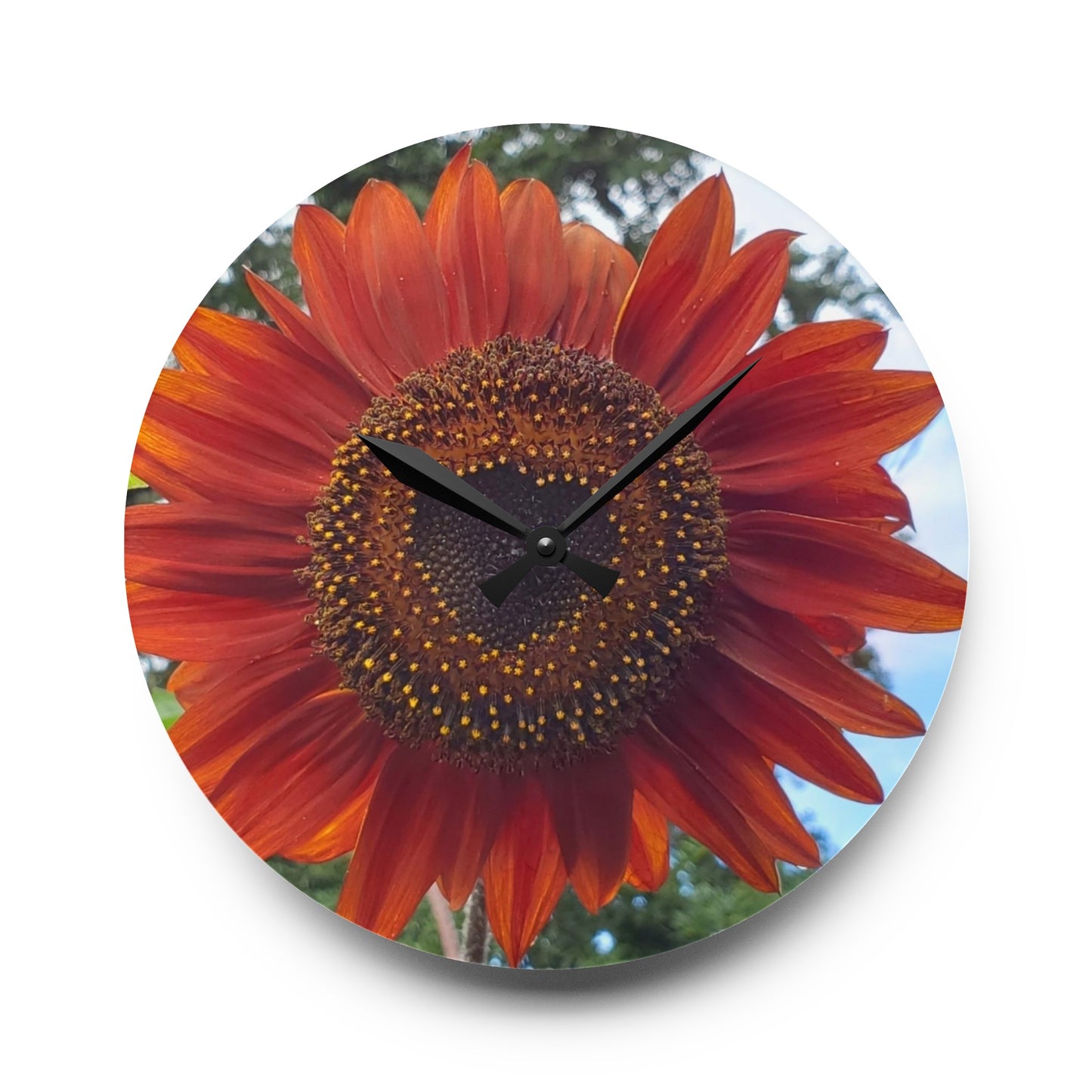 Heart Sunflower Acrylic Wall Clock(Enchanted Exposures By Tammy Lyne)