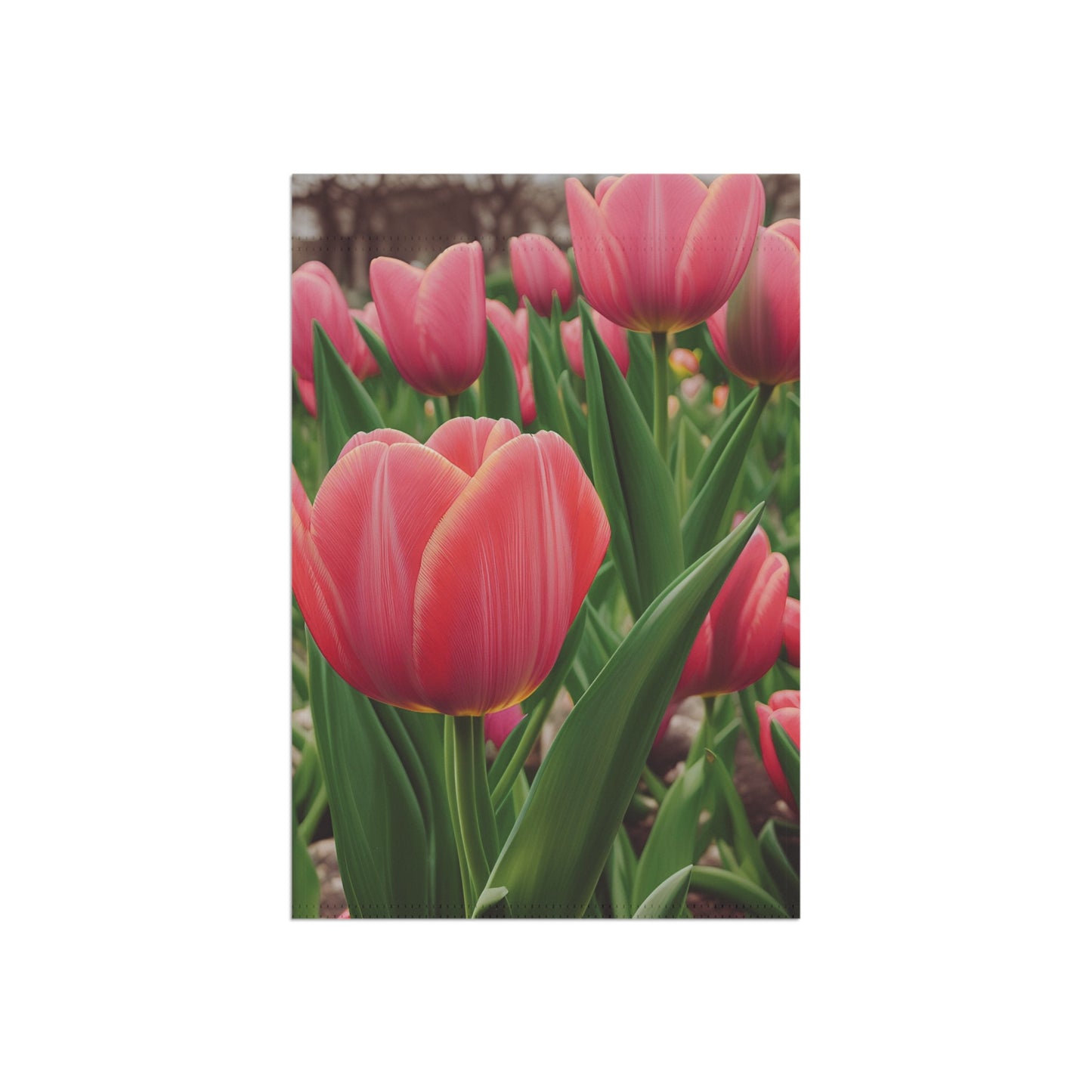 Pink Tulip Garden & House Banner (SP Photography Collection, Pole Not Included)