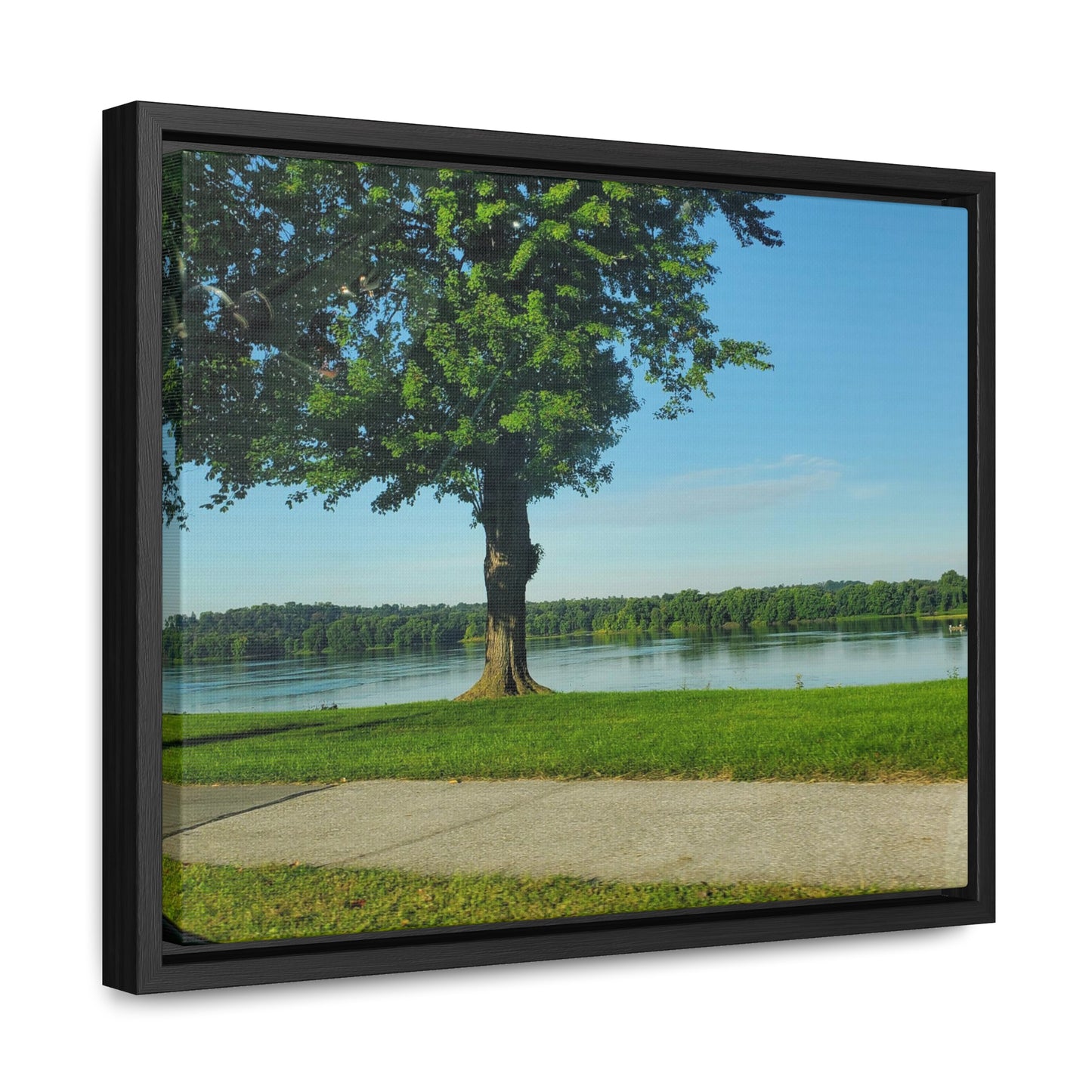 Tree Canvas Wraps, Horizontal Frame (B & J Collections)