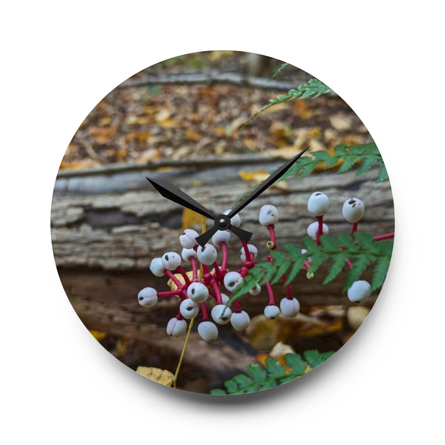 Baneberry Wall Clock (Savor The Moment Collection)