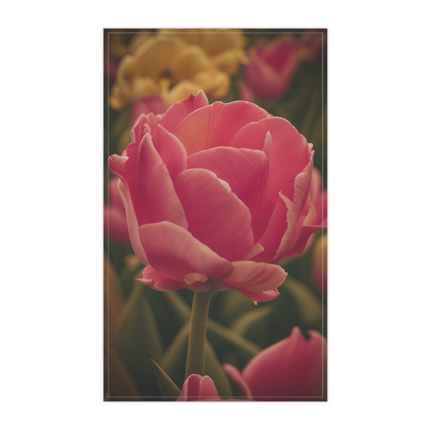 Pink Buttercup Kitchen Towel (SP Photography Collection)