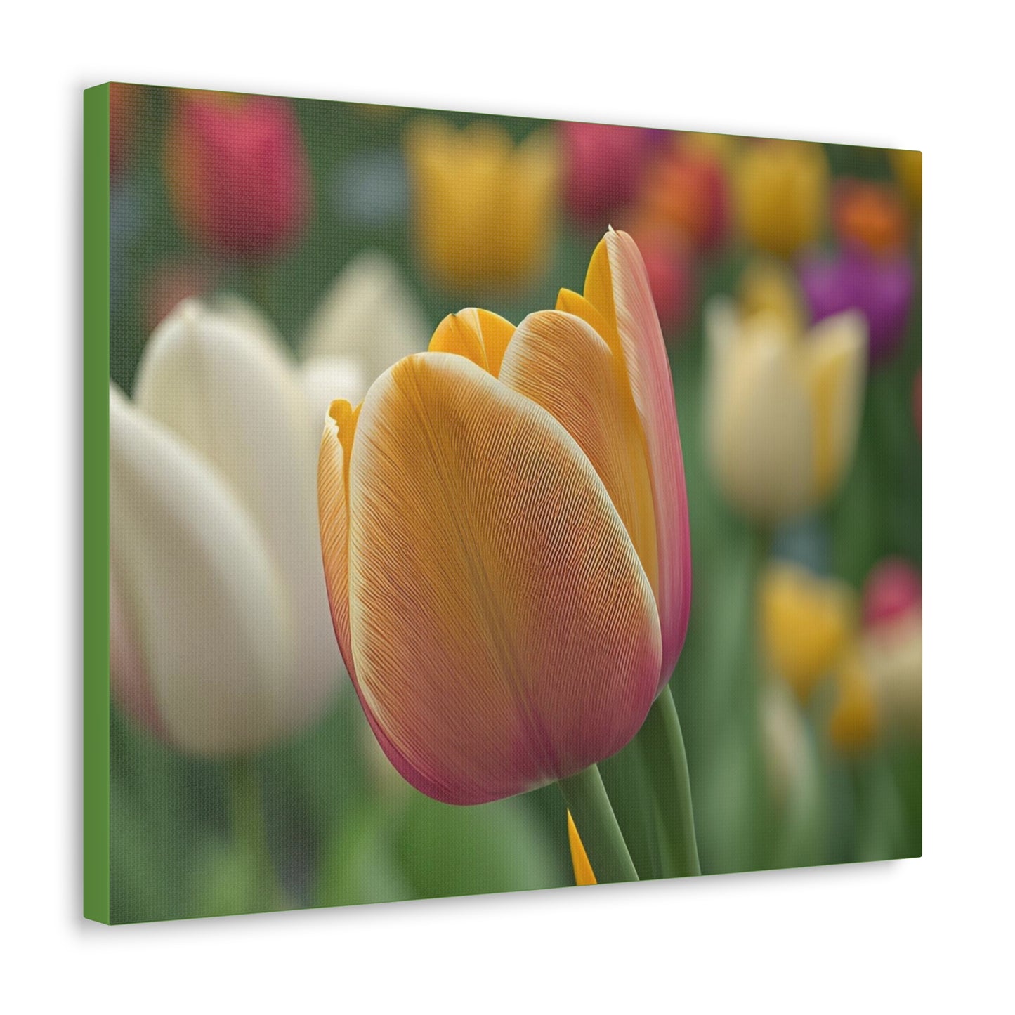 Orange Tulip Wrap Canvas (SP Photography Collection)