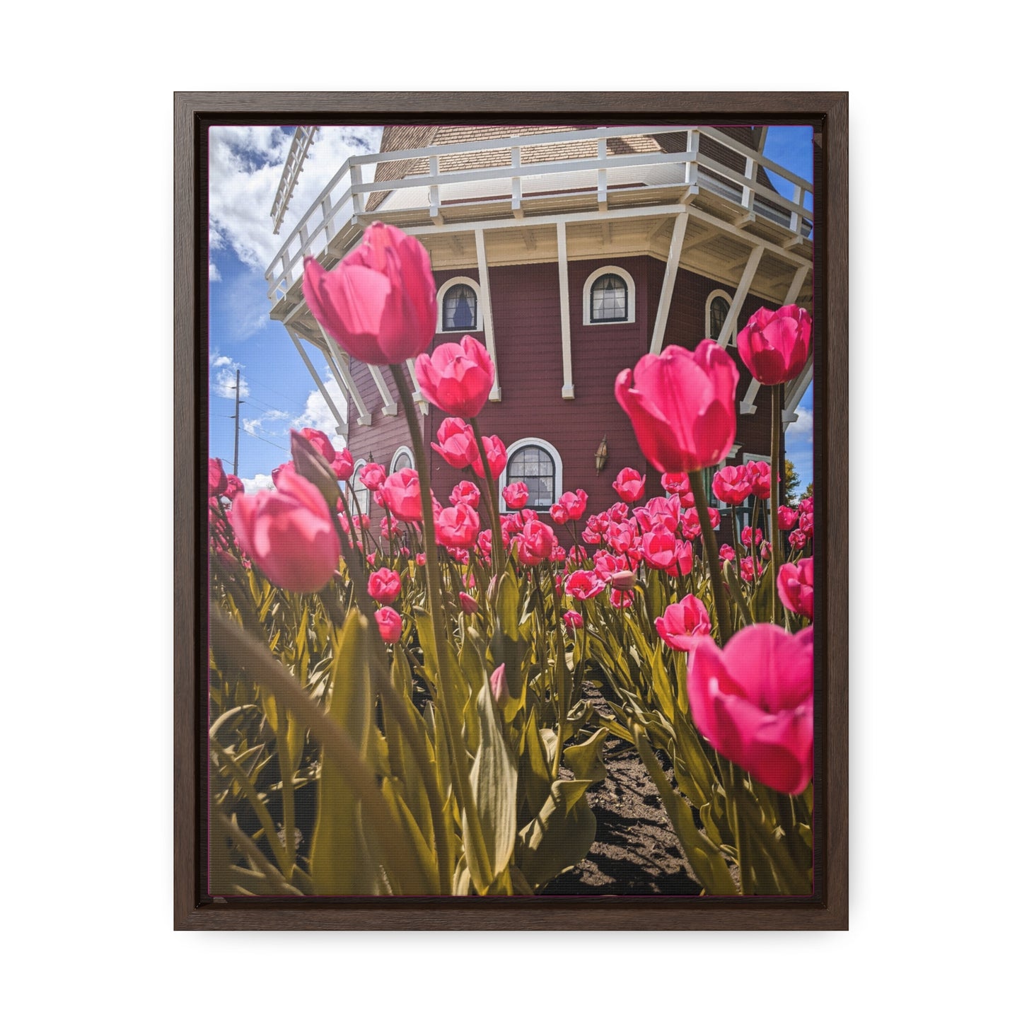 Windmill Pink Tulips Wraps, Vertical Frame (SP Photography Collection) PINK