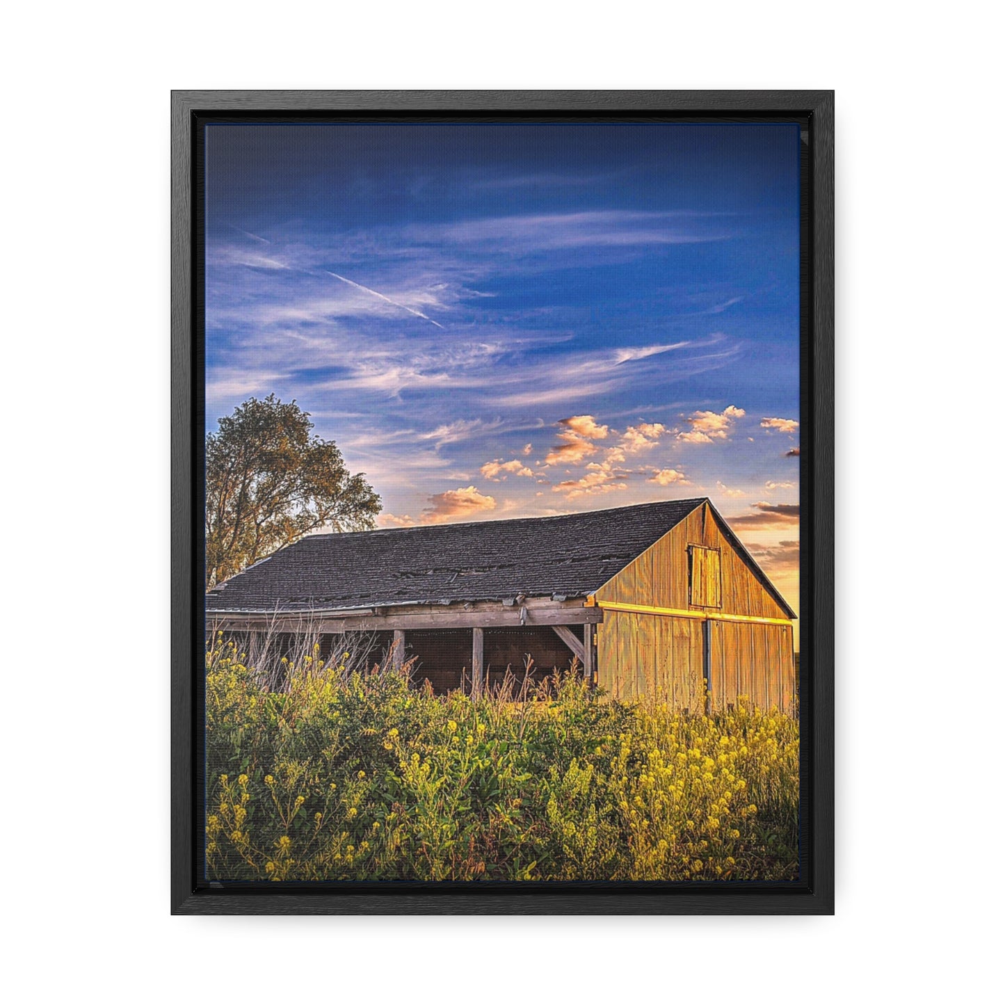 Grassy Barn Canvas Wraps, Vertical Frame (SP Photography Collection)