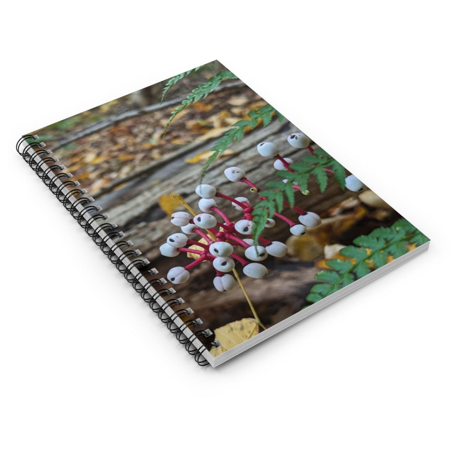 Baneberry Notebook (Savor The Moment Collection)