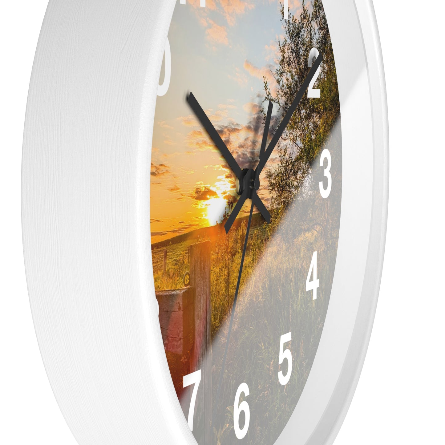 Fence Clock (SP Photography Collection)