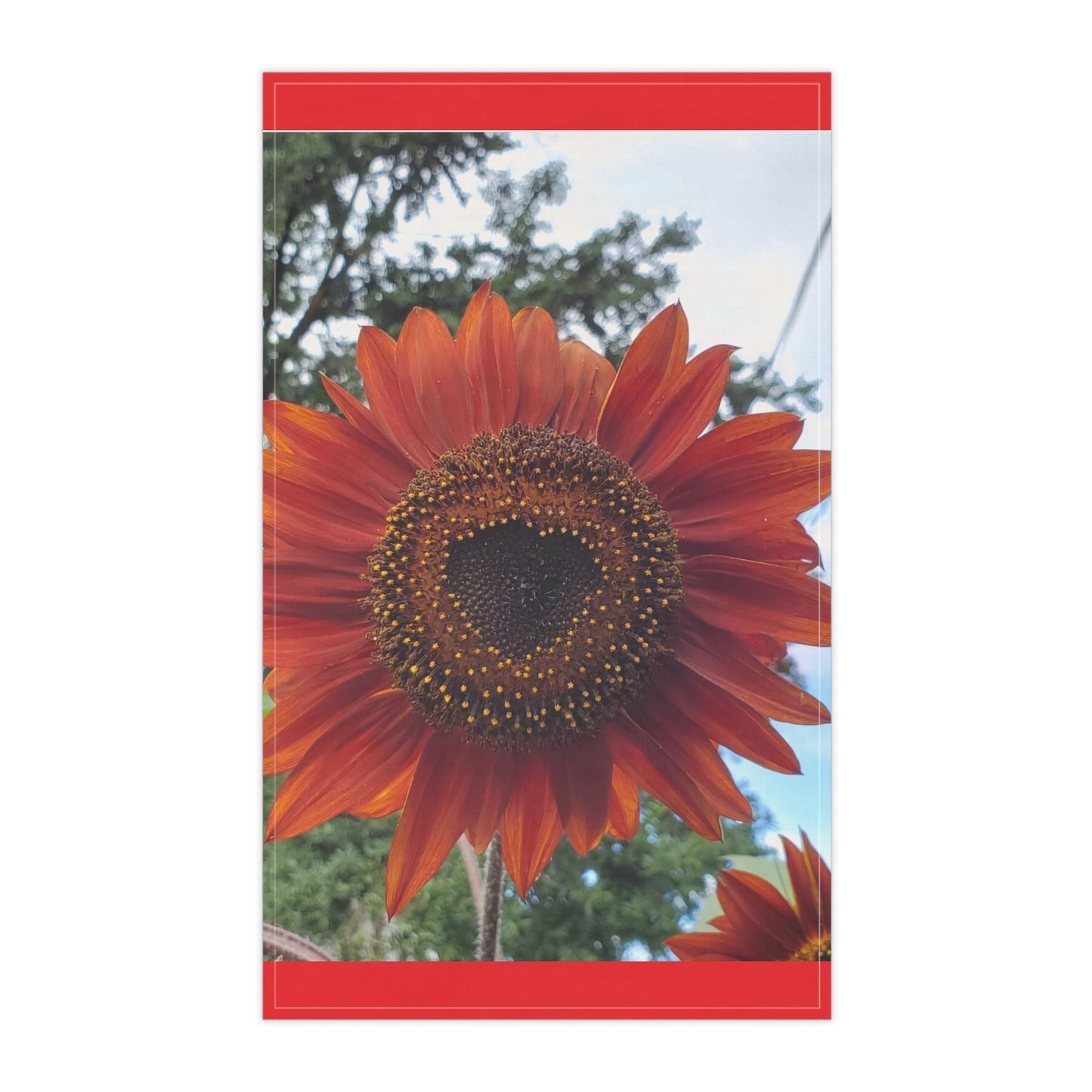 Heart Sunflower Kitchen Towel (Enchanted Exposures By Tammy Lyne)