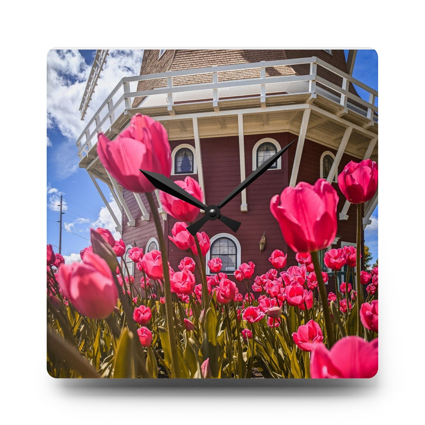 Windmill Pink Tulips Wall Clock (SP Photography Collection)
