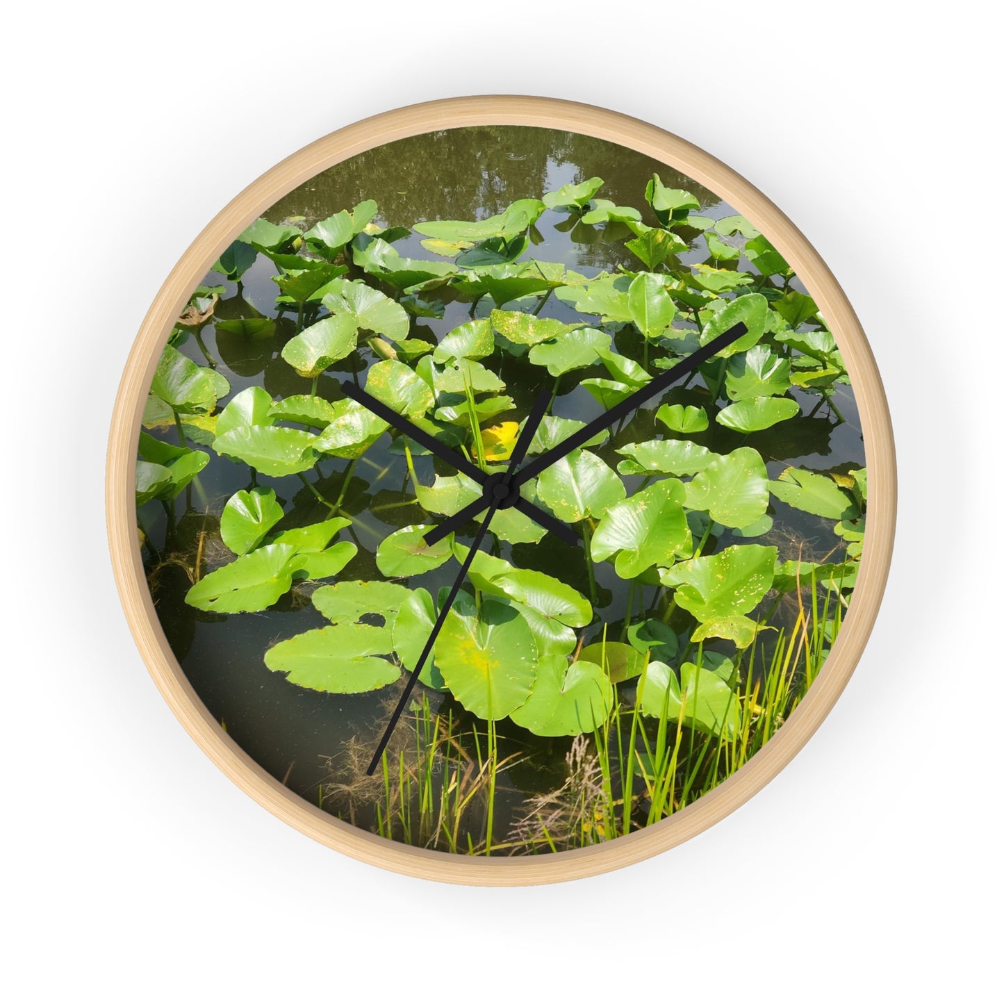 Lily Pad Wall Clock (B & J Collections)