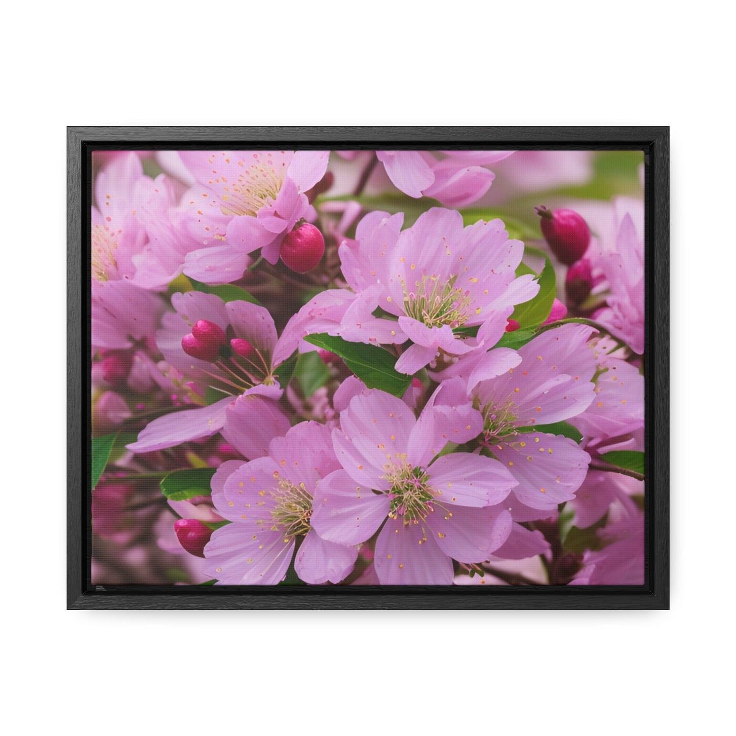Cherry Blossom Canvas, Horizontal(Sp Photography Collection)