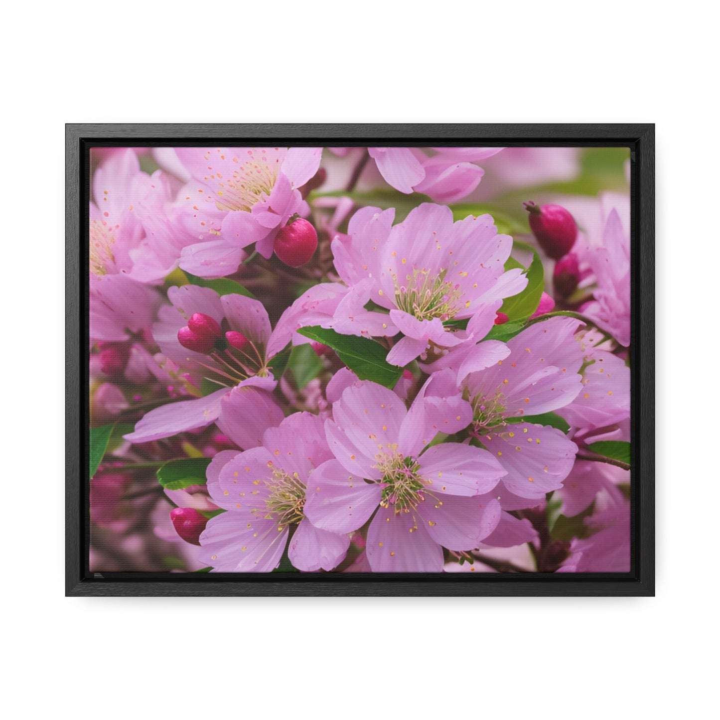 Copy of Cherry Blossom Canvas, Horizontal(Sp Photography Collection)