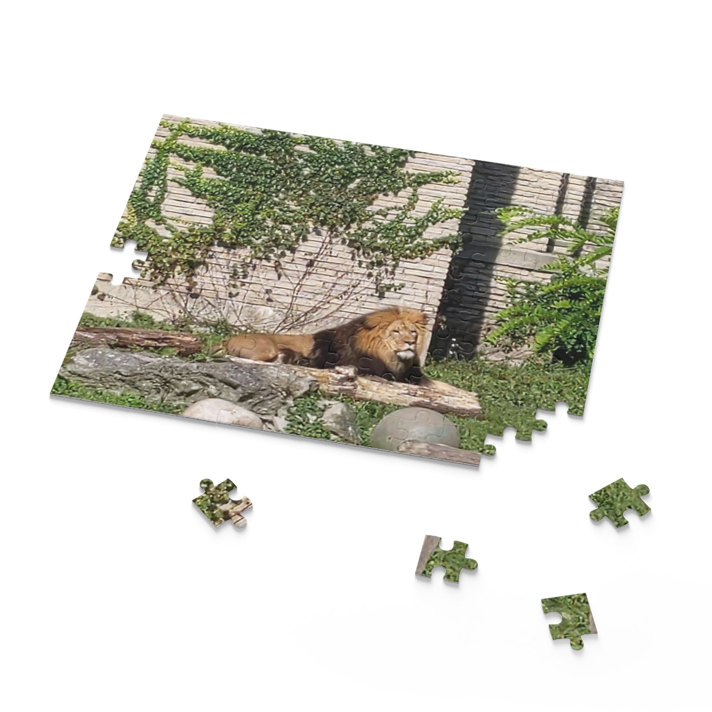 Lion Puzzle (B & J Collections) (120, 252, 500-Piece)