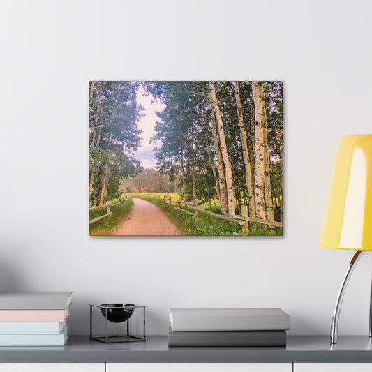 Country Road Wrap Canvas (SP Photography Collection)