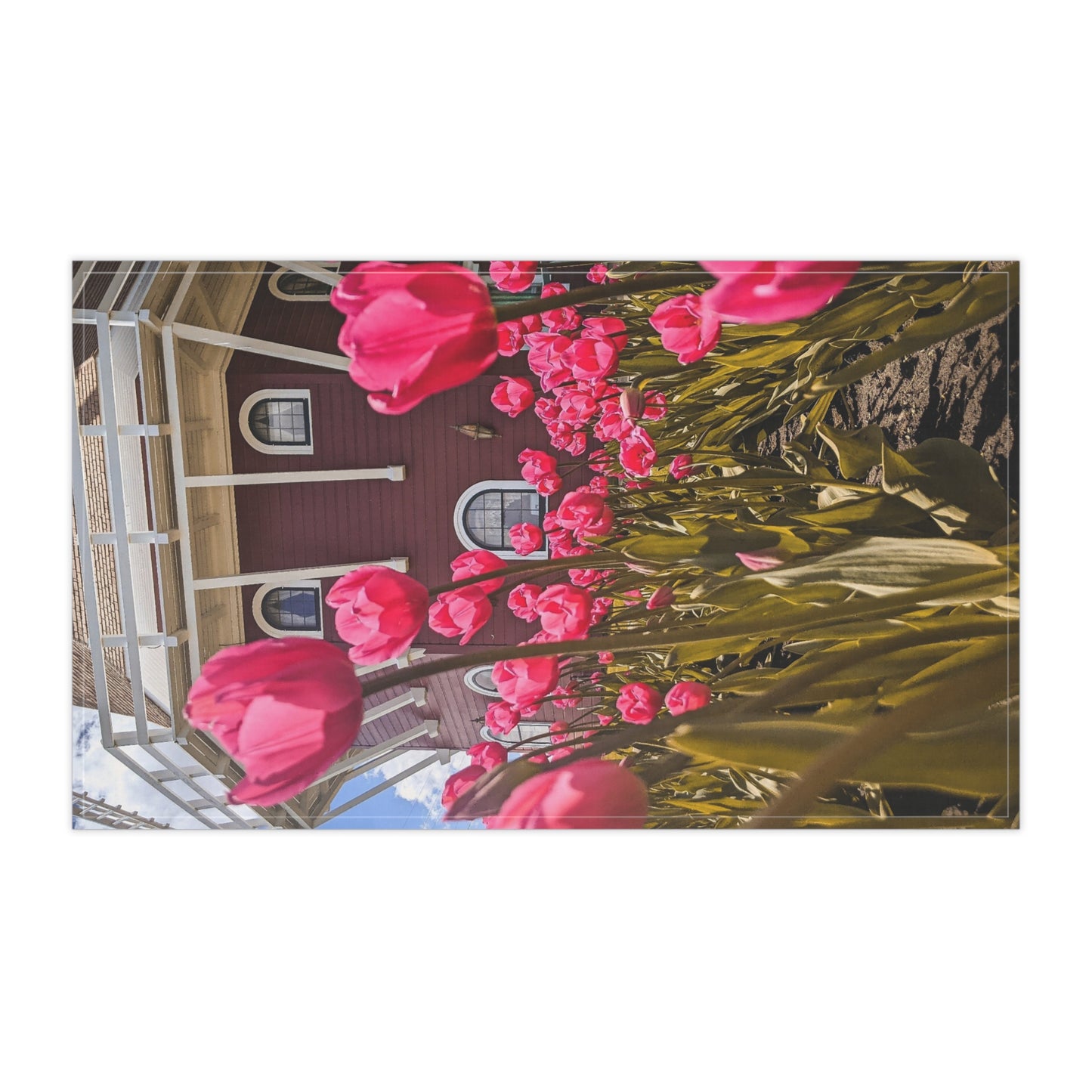 Windmill Pink Tulips Kitchen Towel (SP Photography Collection)