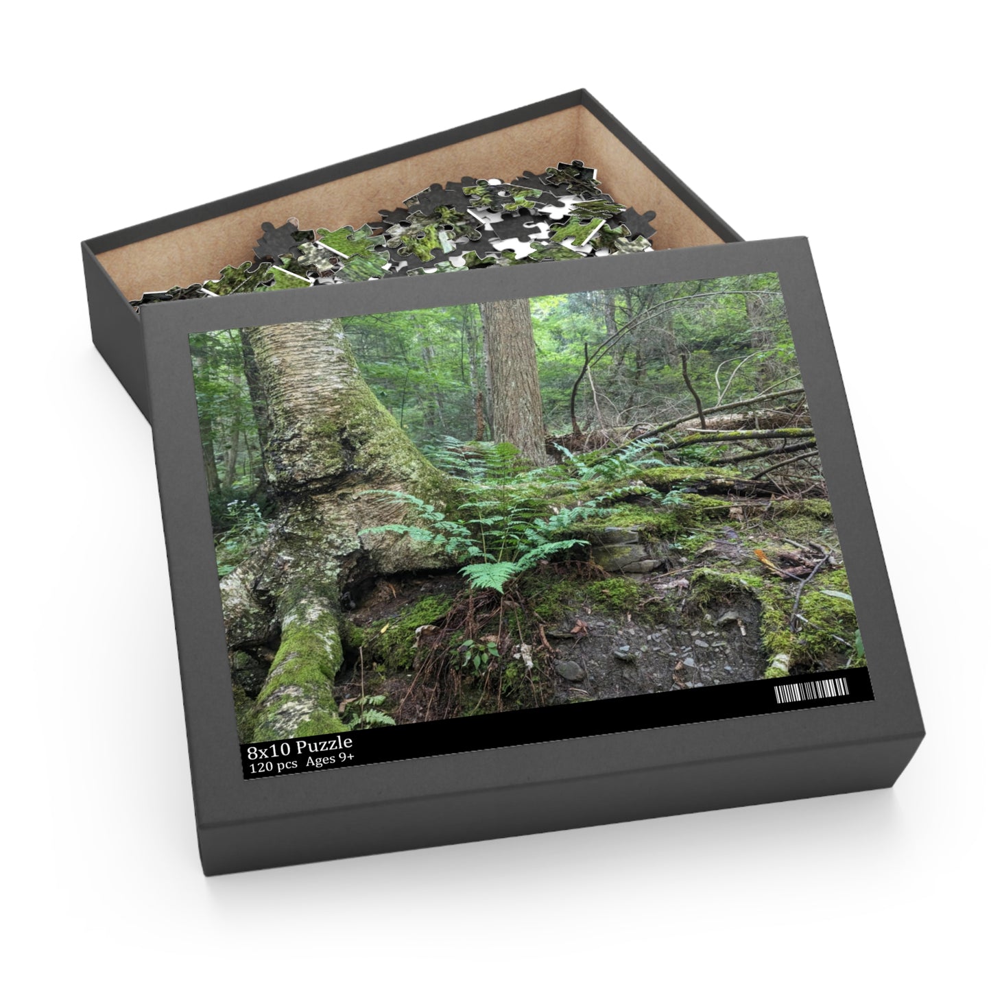 Forest Fern Puzzle (Savor The Moment Collection 120, 252, 500-Piece)