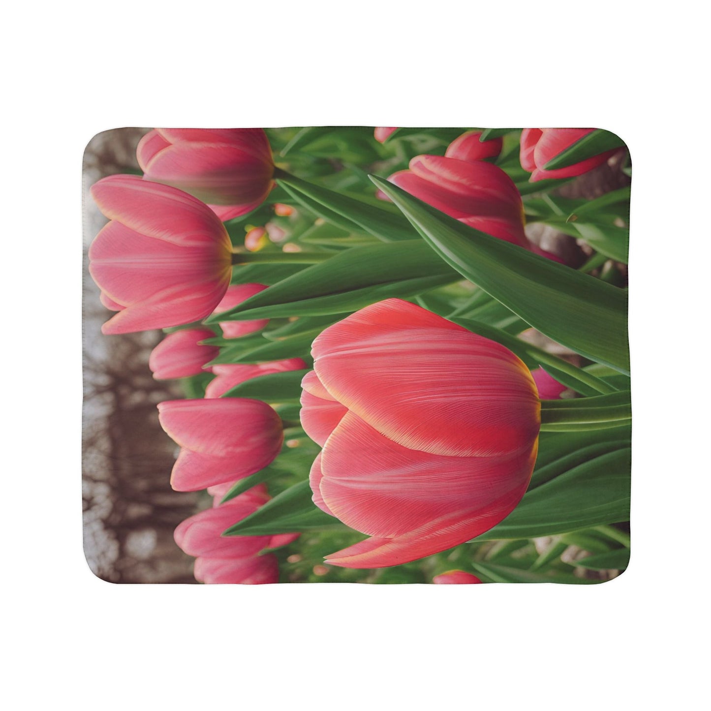 Tulips Fleece Sherpa Blanket (SP Photography Collection)