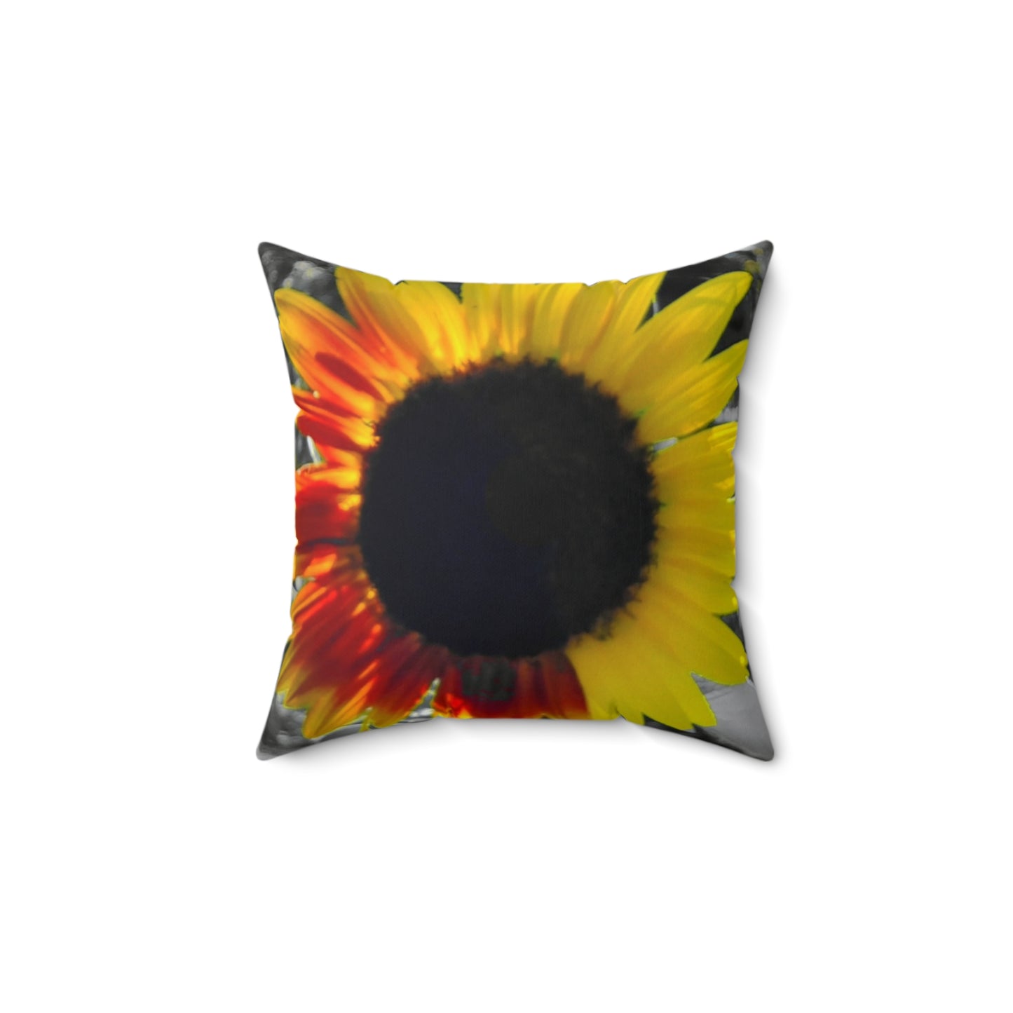 Mixed Sunflower Spun Polyester Square Pillow (Enchanted Exposures By Tammy Lyne ) BLACK