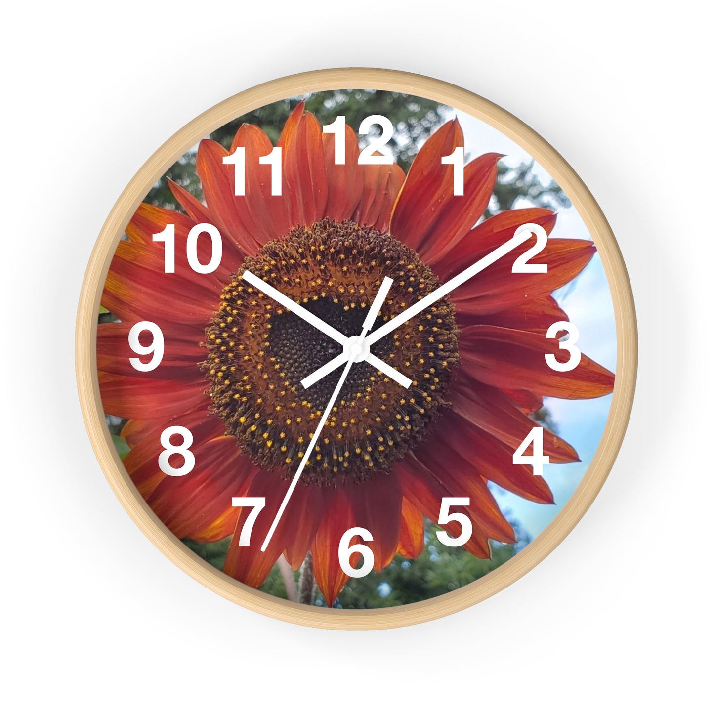 Heart Sunflower Wall Clock (Enchanted Exposures By Tammy Lyne)