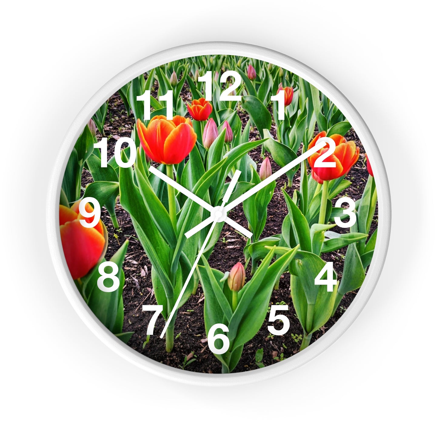 Red Tulips Wall Clock (SP Photography Collection)