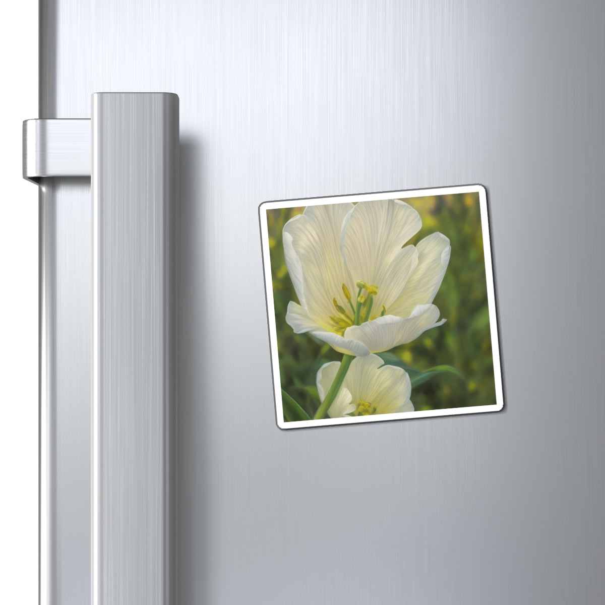 White Tulip Magnet (SP Photography Collection)