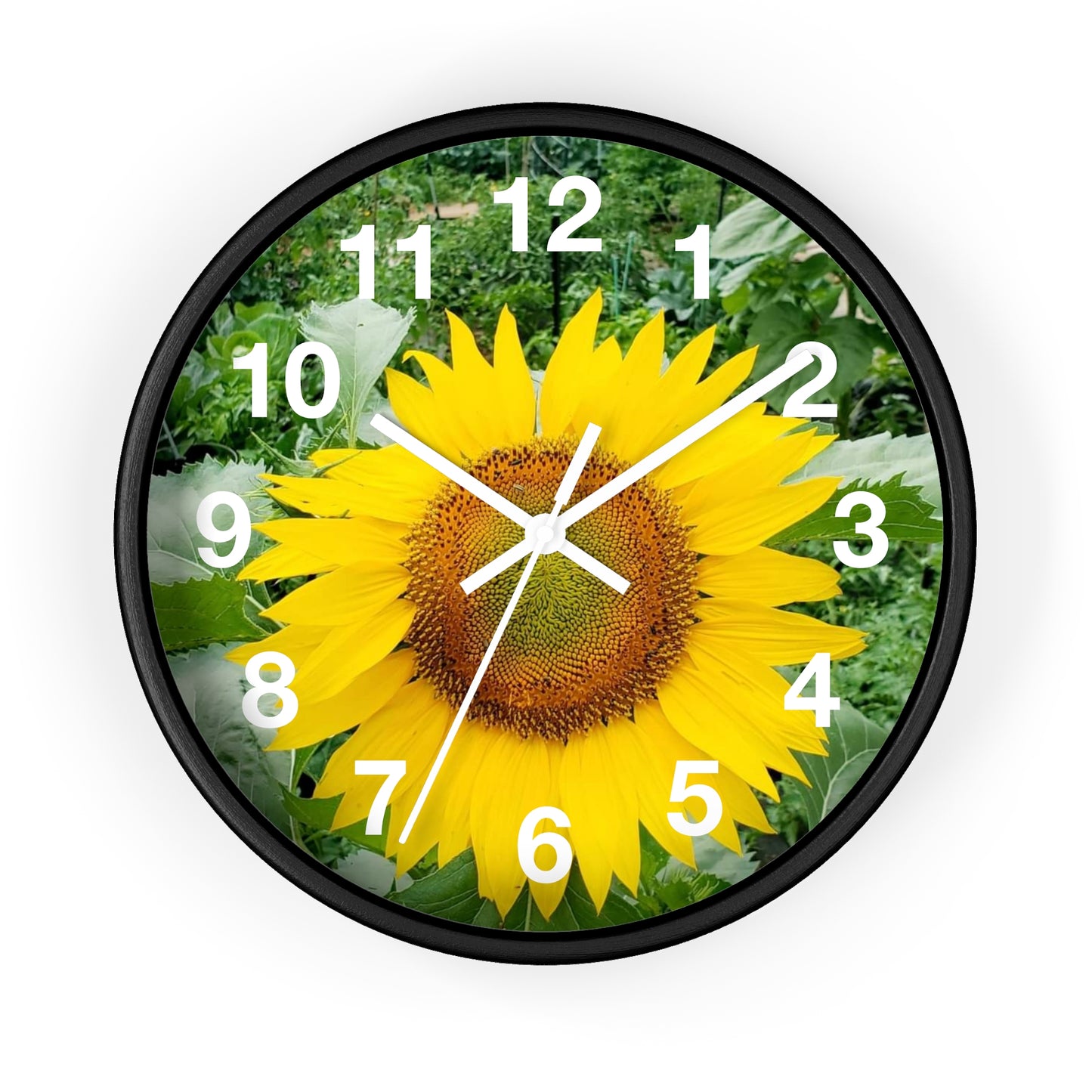 Yellow Sunflower Wall Clock (Enchanted Exposures By Tammy Lyne)