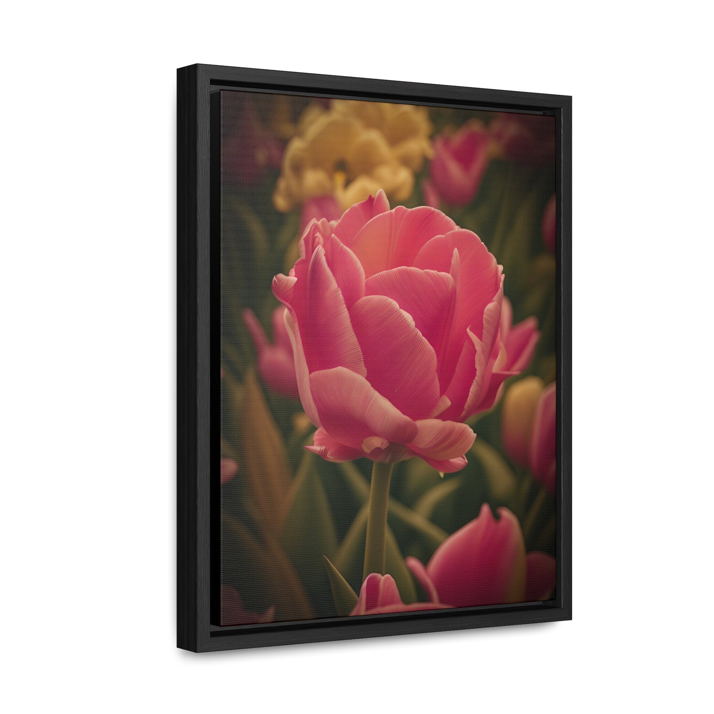 Pink Buttercup Canvas Wraps, Vertical Frame (SP Photography Collection) BLACK