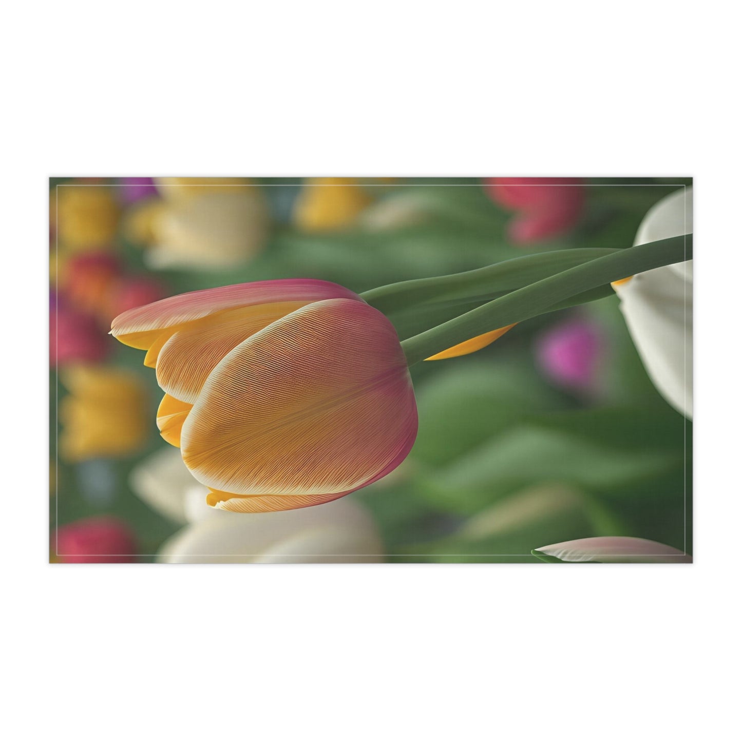 Orange Tulip Kitchen Towel (SP Photography Collection)