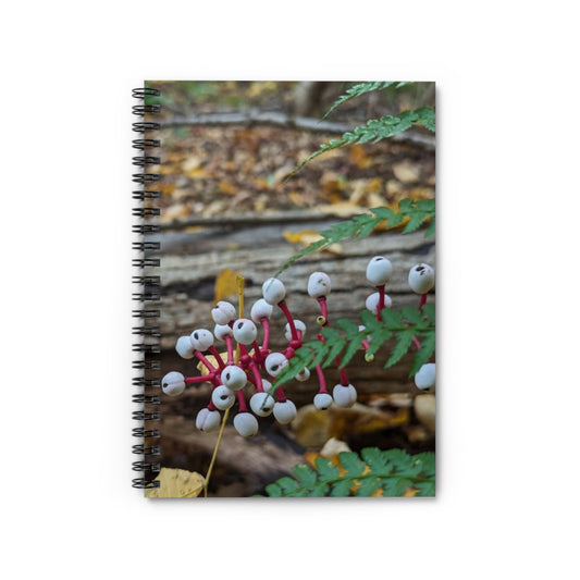 Baneberry Notebook (Savor The Moment Collection)