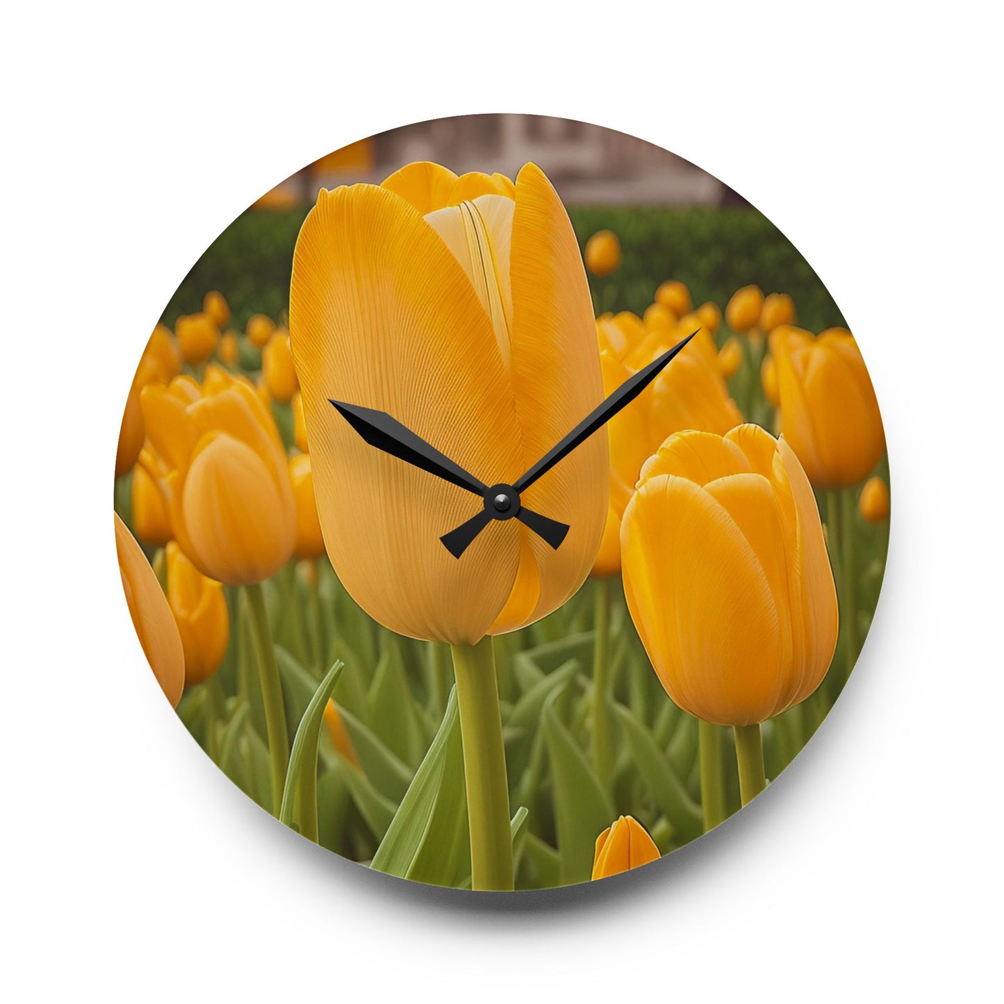 Yellow Tulip Acrylic Wall Clock (SP Photography Collection)