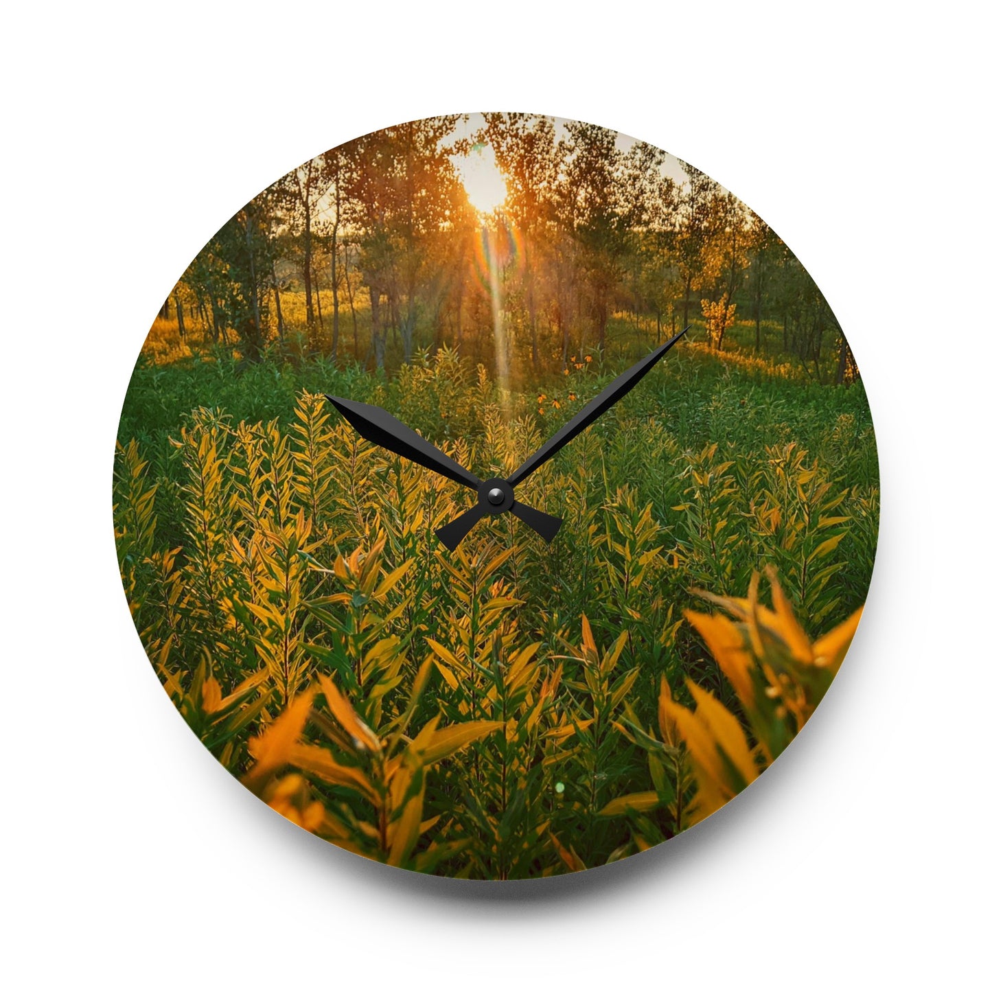 Golden Field Acrylic Wall Clock(SP Photography Collection)