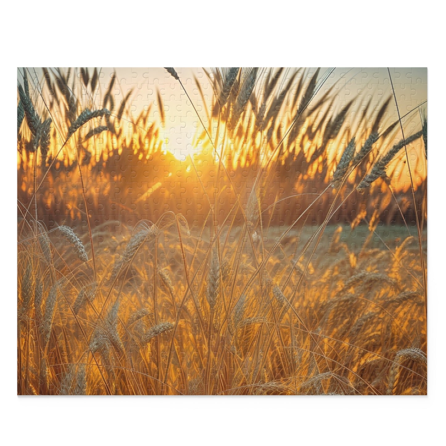 Golden Wheat Puzzle (SP Photography Collection 120, 252, 500-Piece)