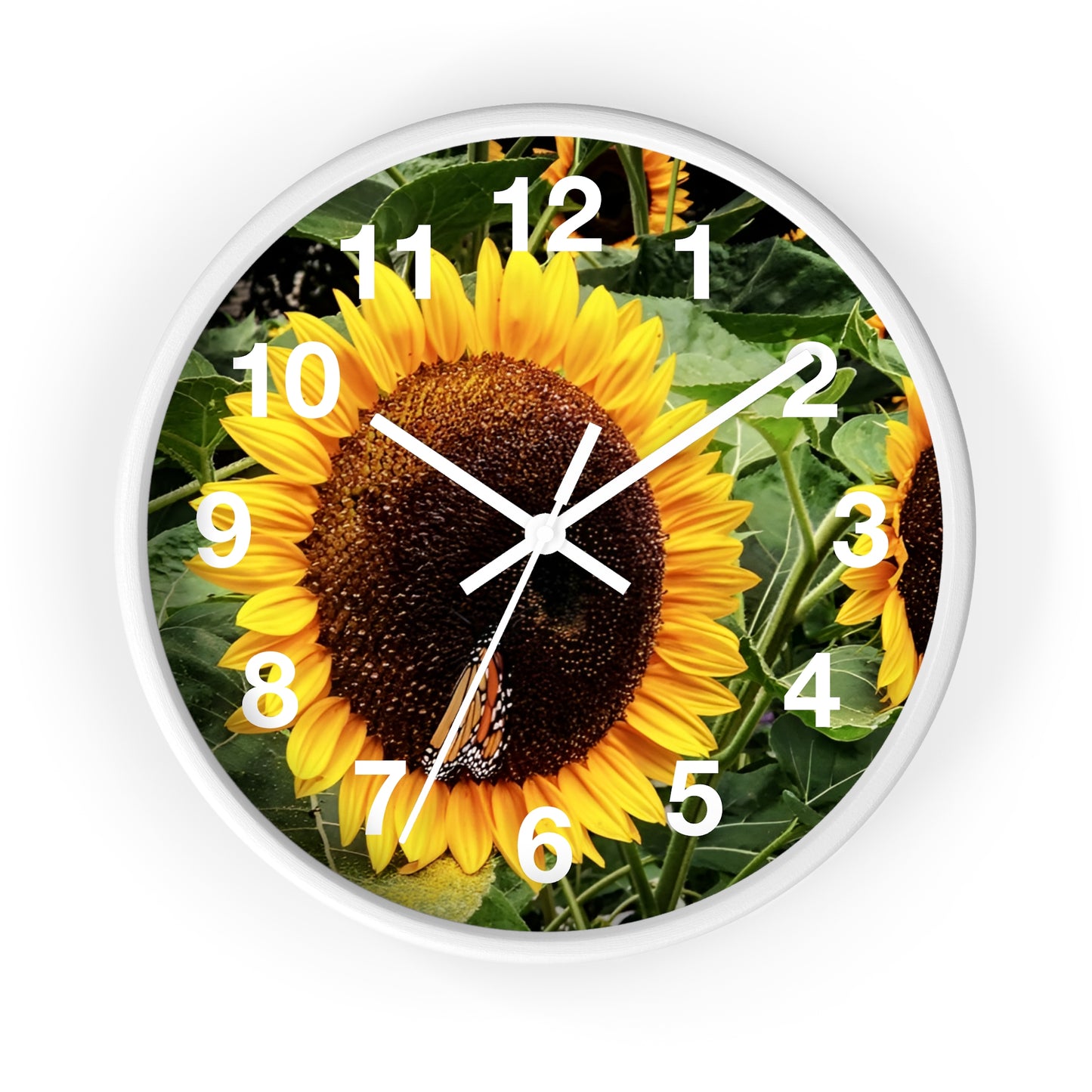 Bright Sunflower Wall Clock (Enchanted Exposures By Tammy Lyne)