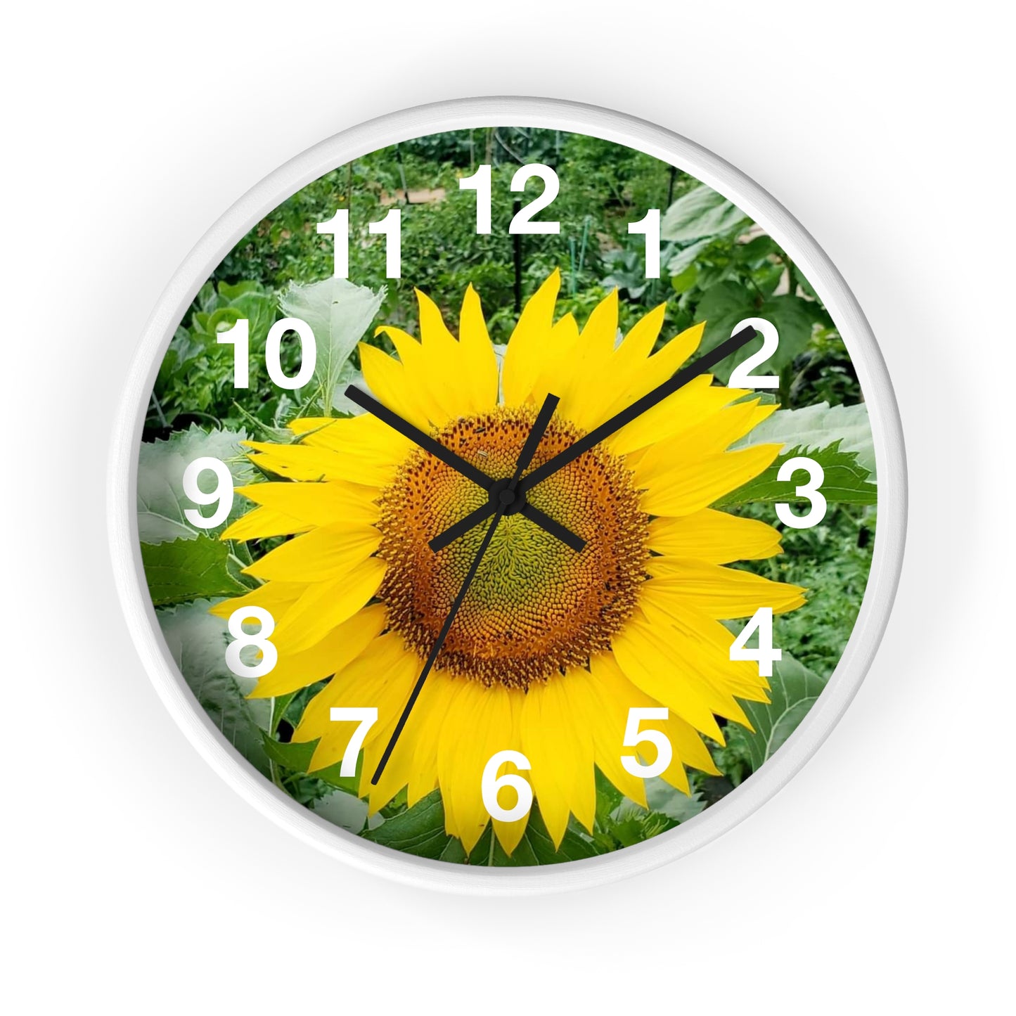 Yellow Sunflower Wall Clock (Enchanted Exposures By Tammy Lyne)