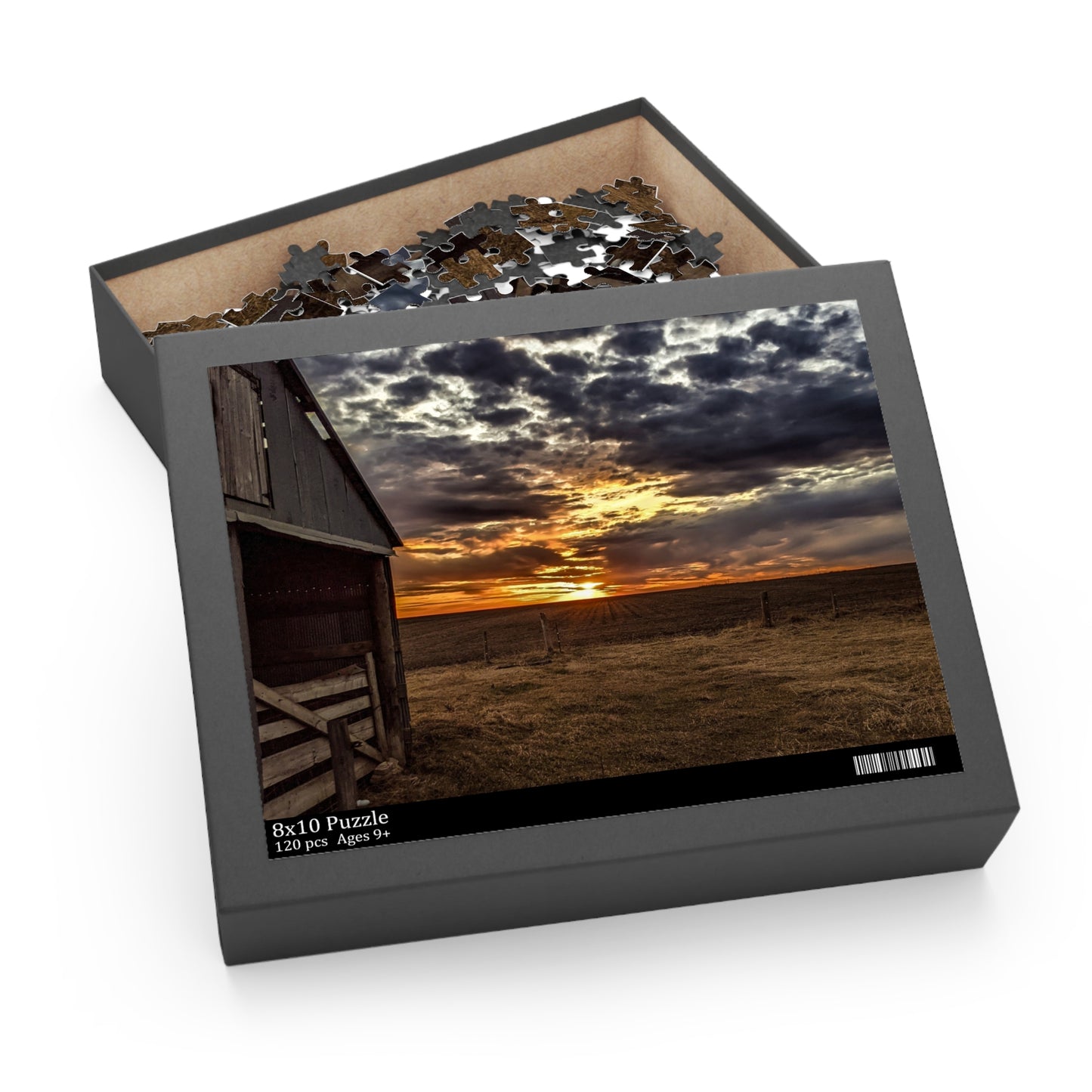 Gray Skies Puzzle (SP Photography Collection 120, 252, 500-Piece)