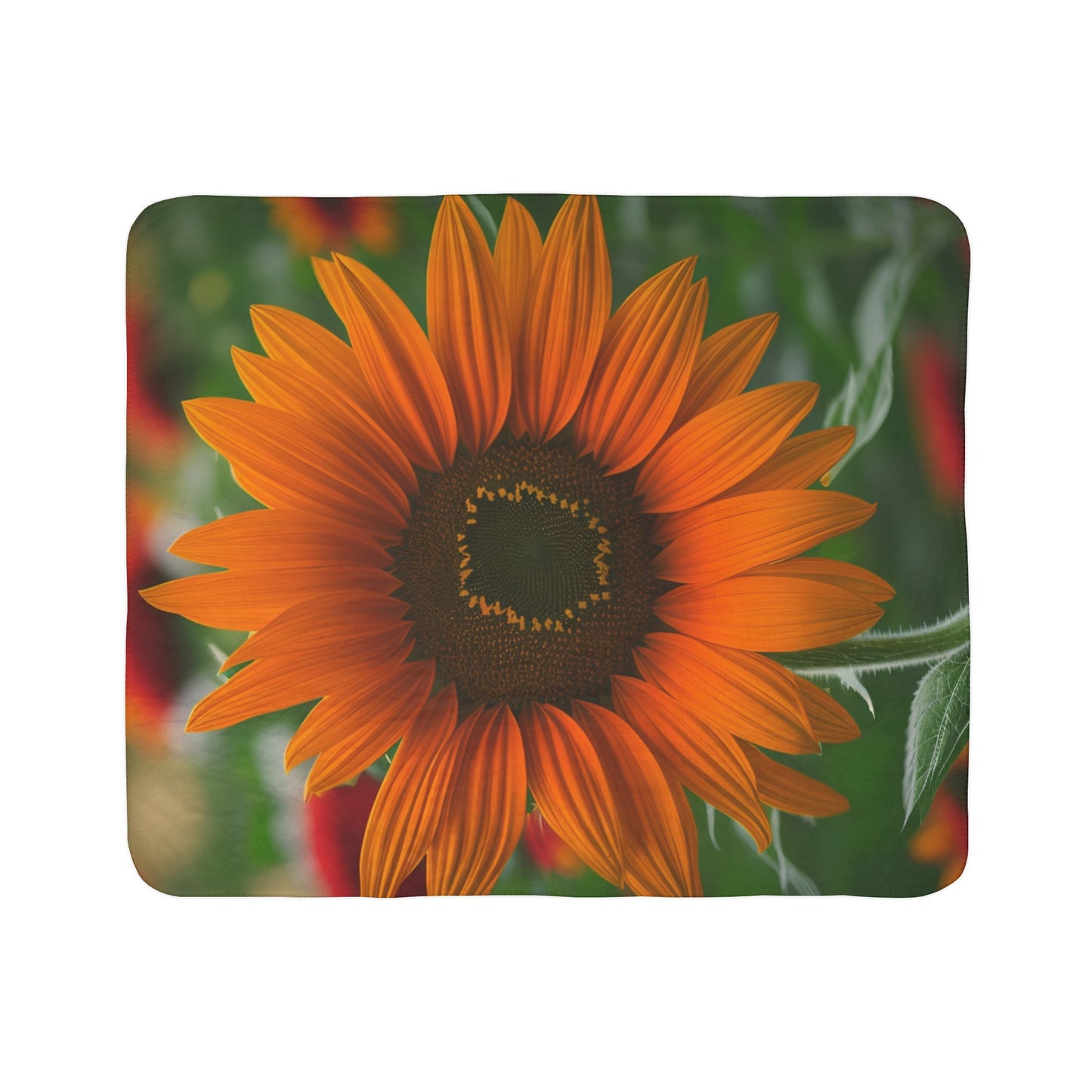 Orange Sunflower Fleece Sherpa Blanket (SP Photography Collection)