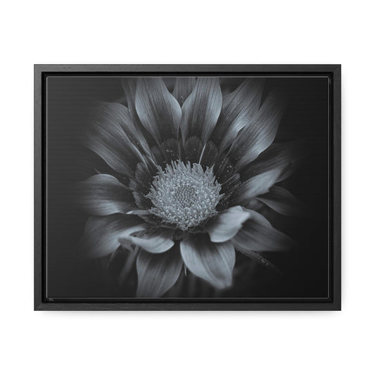 Midnight Bloom Horizontal Frame (SP Photography Collection)