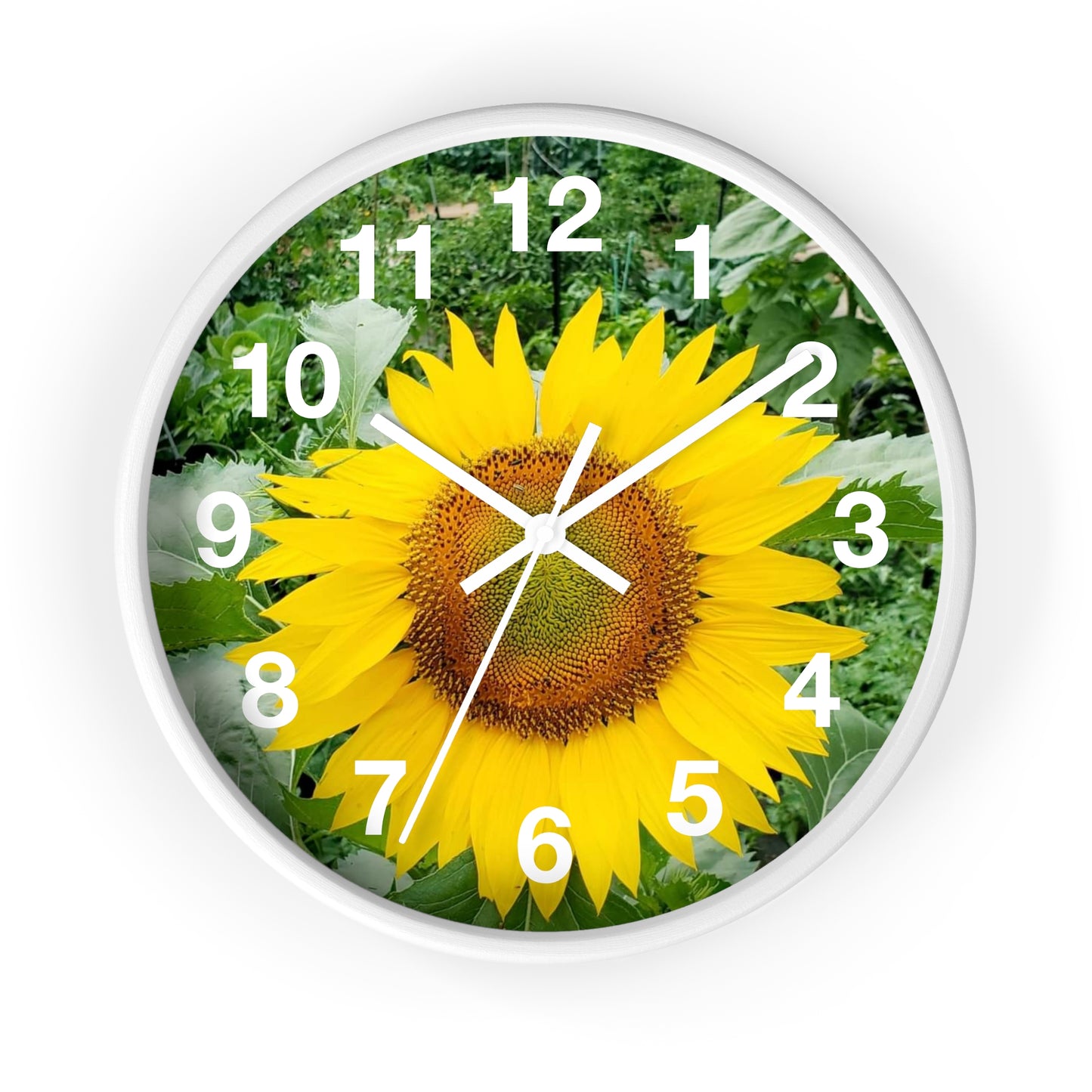 Yellow Sunflower Wall Clock (Enchanted Exposures By Tammy Lyne)