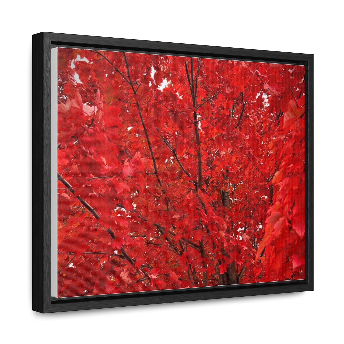 Fire Tree Canvas, Horizontal Frame (Custom Creations By Catelyn)