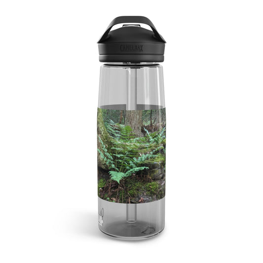 Forest Fern CamelBak Eddy®  Water Bottle, 25oz (Savor The Moment Collection)