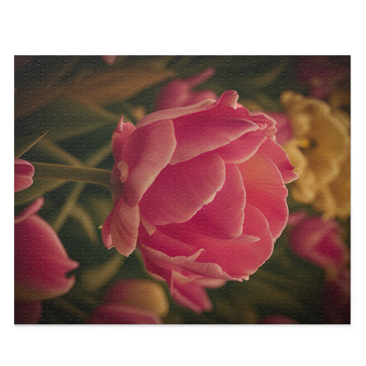 Pink Buttercup Puzzle (SP Photography Collection) (120, 252, 500-Piece)