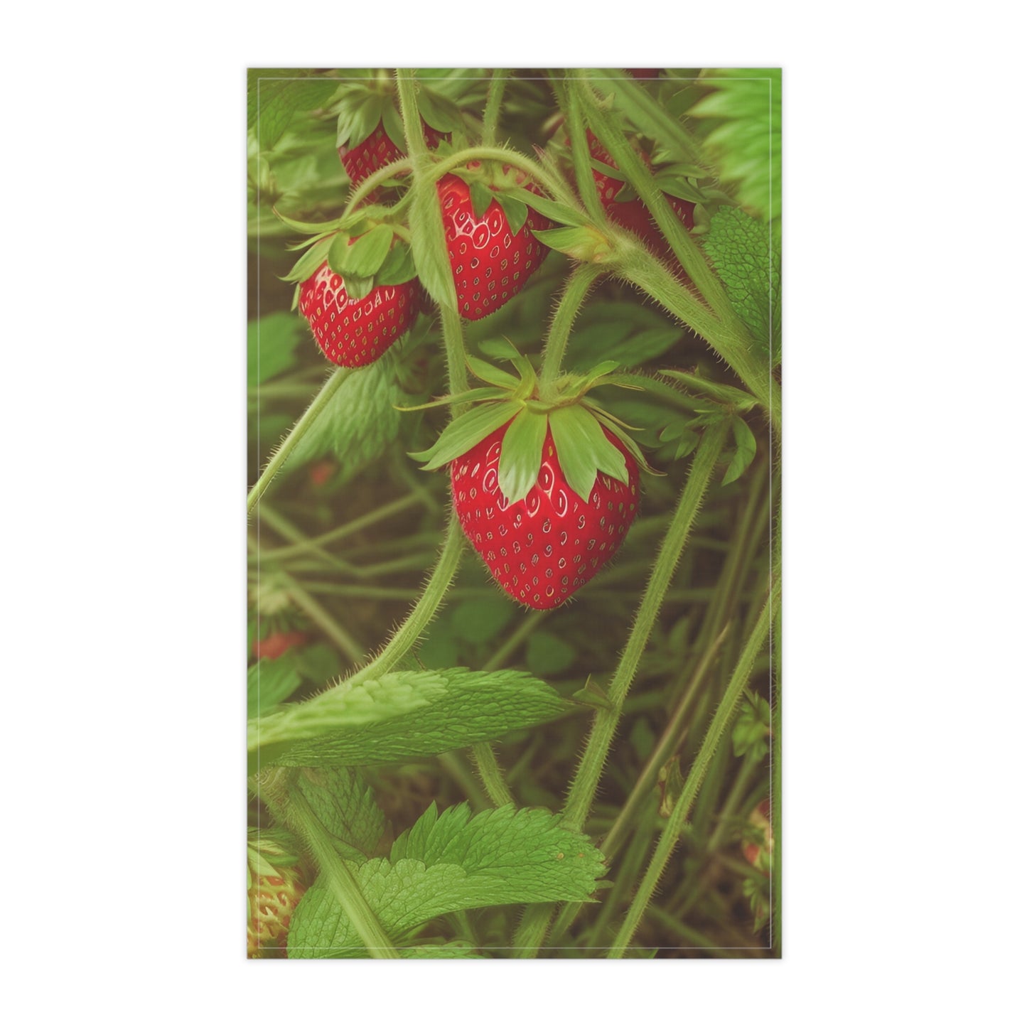 Strawberry Kitchen Towel (SP Photography Collection)