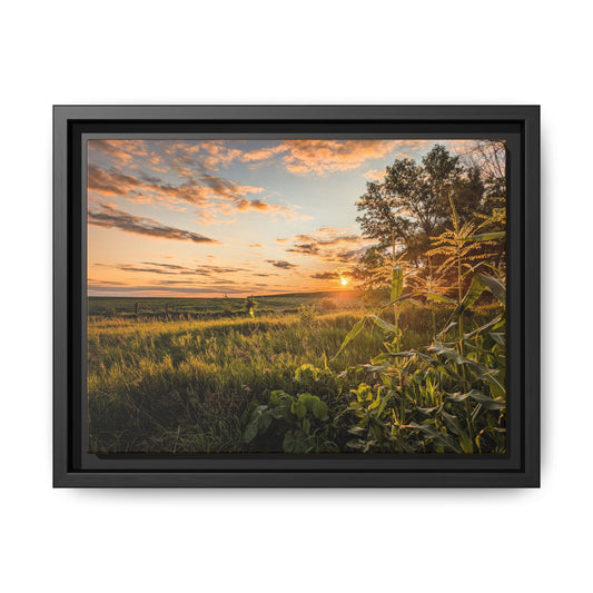 Corn Sunset Matte Canvas, Framed (Multi-color) (SP Photography Collection)
