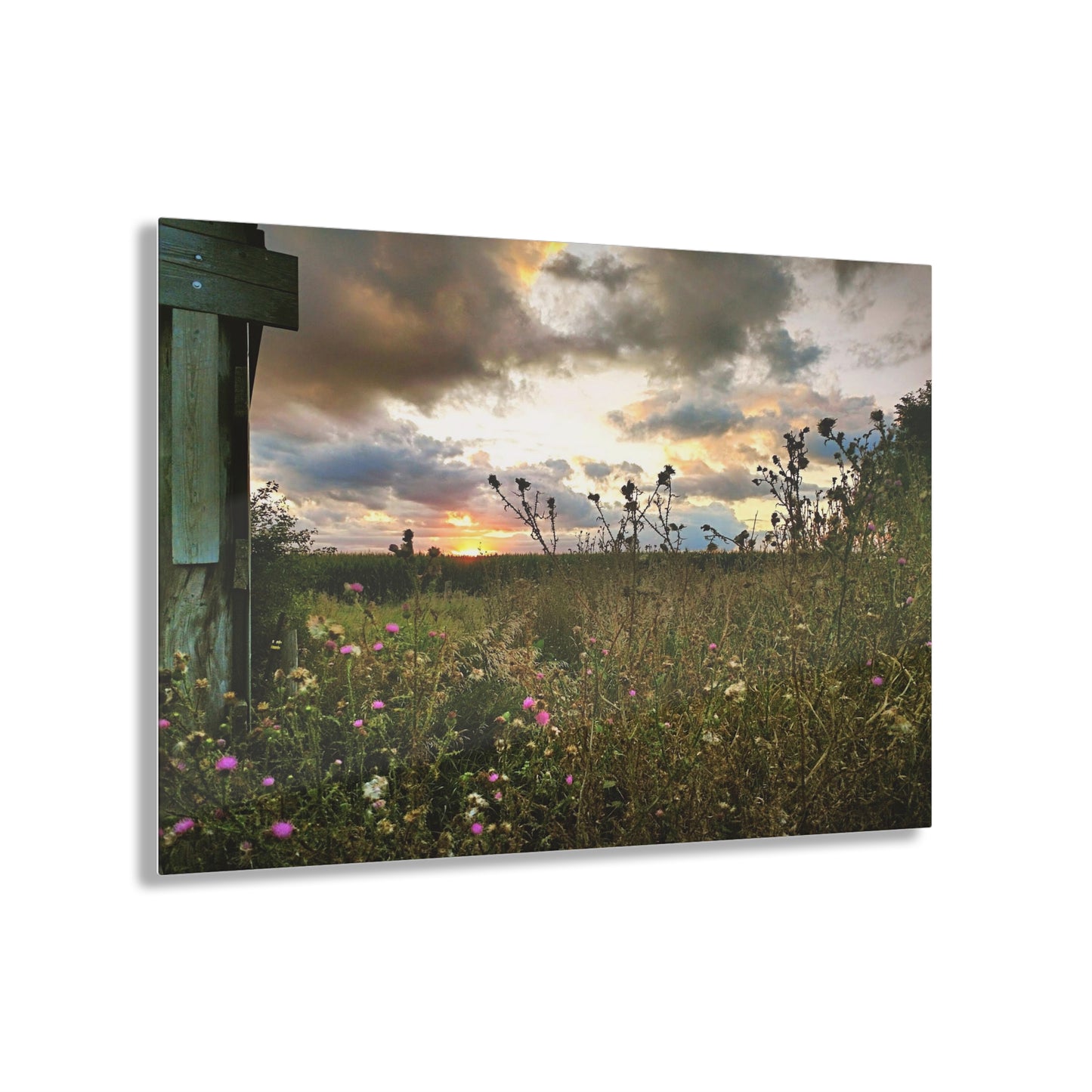 Cloudy Field Acrylic Prints (SP Photography Collection)